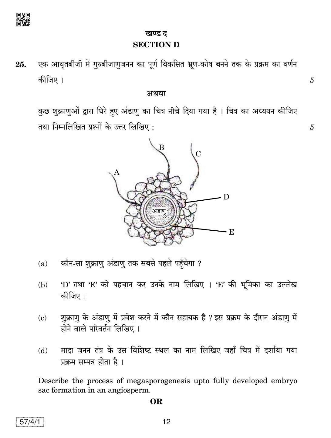 CBSE Class 12 57-4-1 Biology 2019 Question Paper - Page 12
