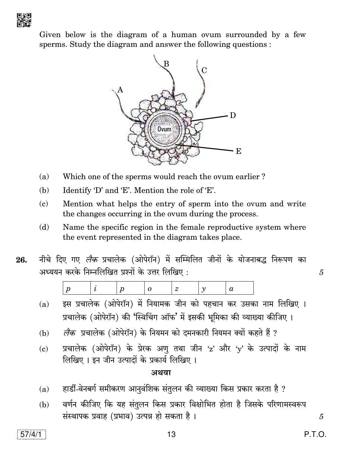 CBSE Class 12 57-4-1 Biology 2019 Question Paper - Page 13