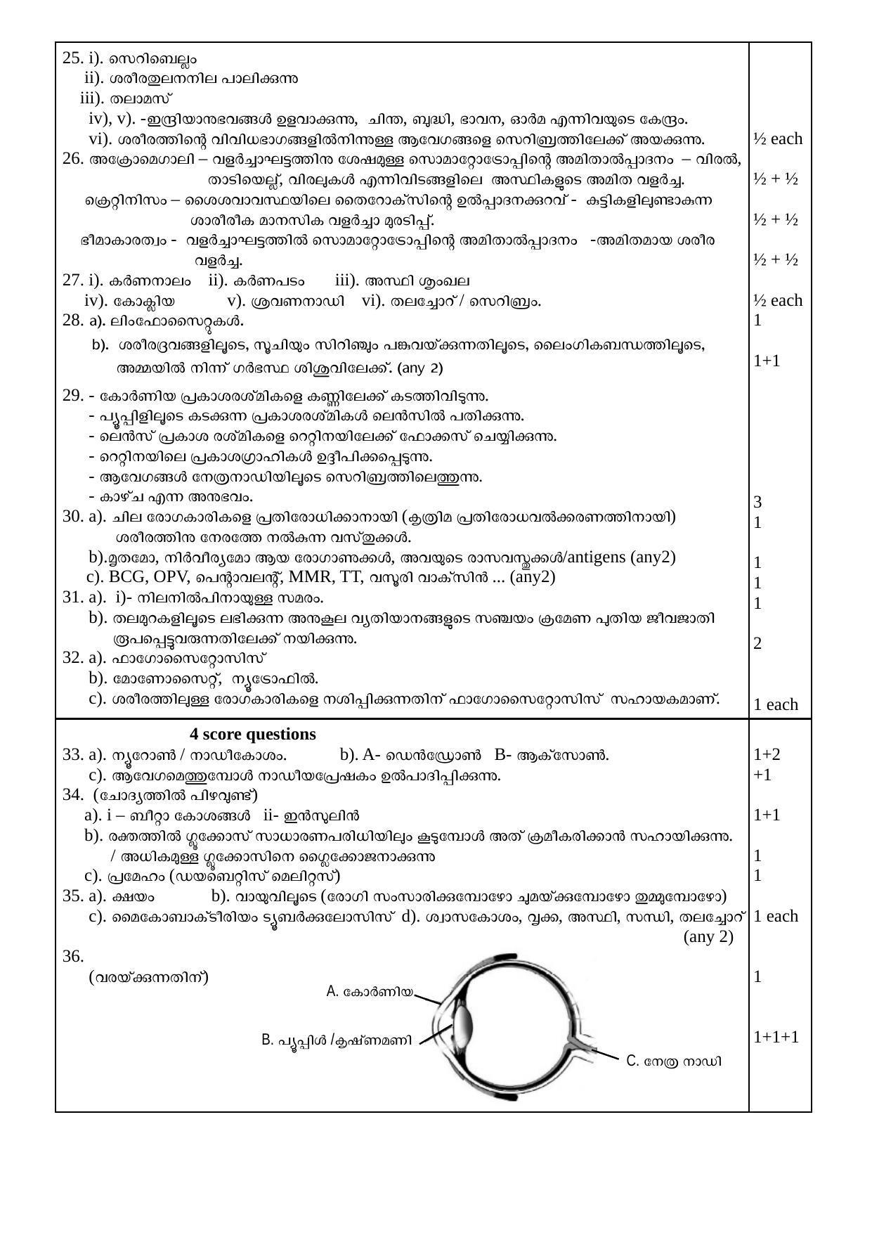 Kerala SSLC 2021 Biology Answer Key (MM) - Page 2