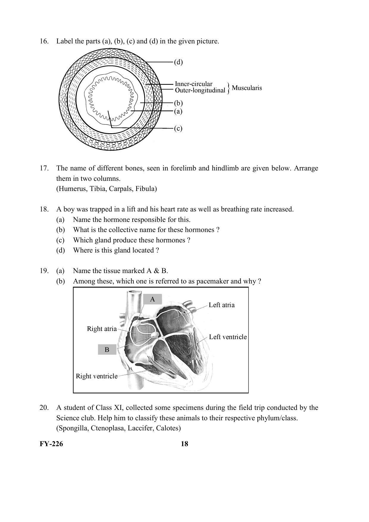 Kerala Plus One 2021 Biology Question Papers - Page 18