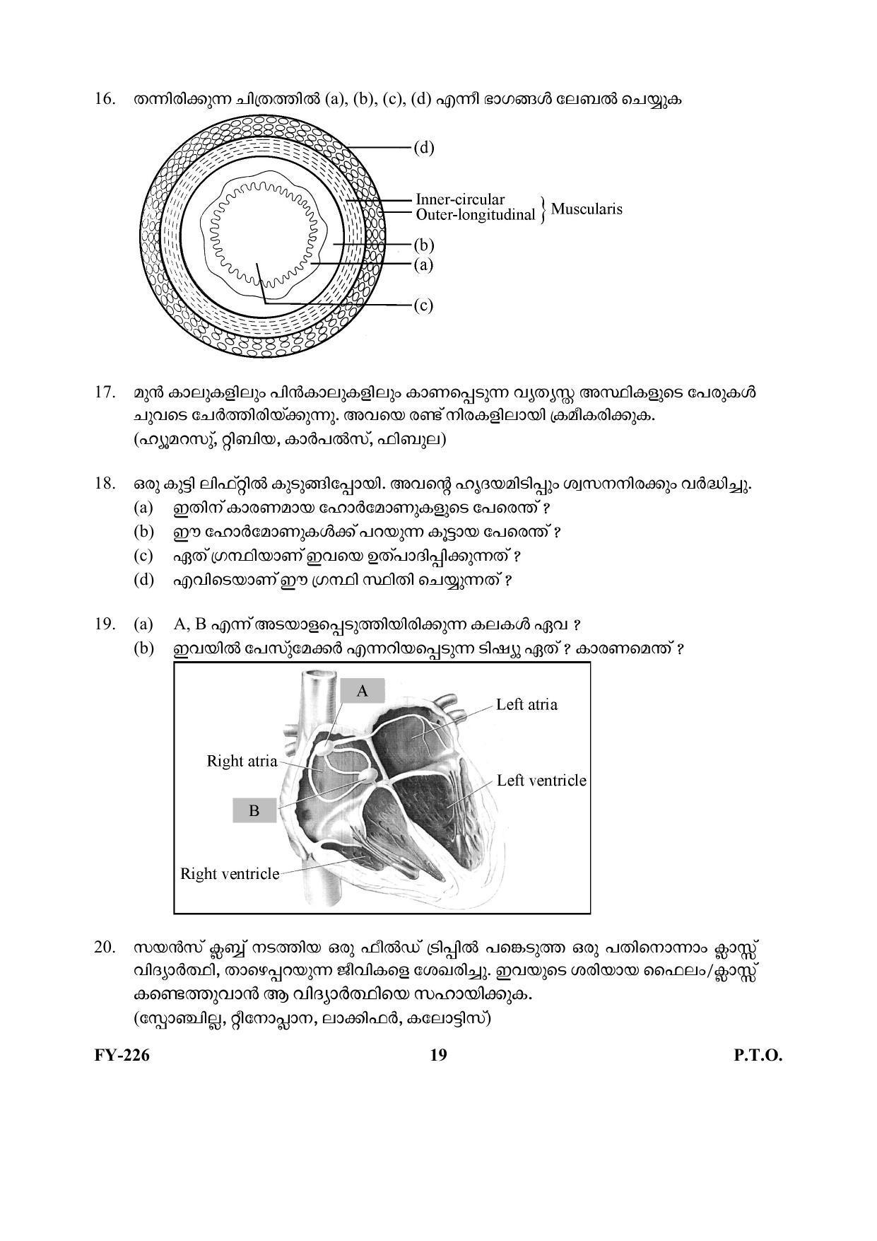 Kerala Plus One 2021 Biology Question Papers - Page 19