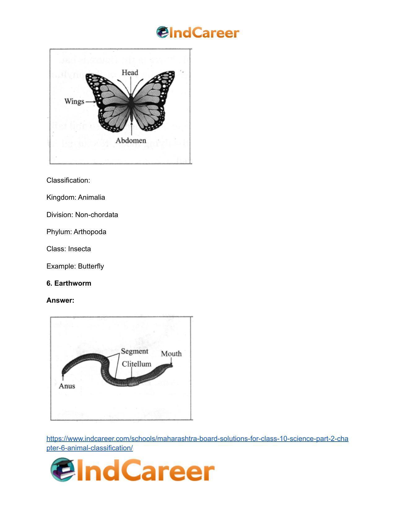 Maharashtra Board Solutions for Class 10- Science (Part 2): Chapter 6- Animal Classification - Page 19