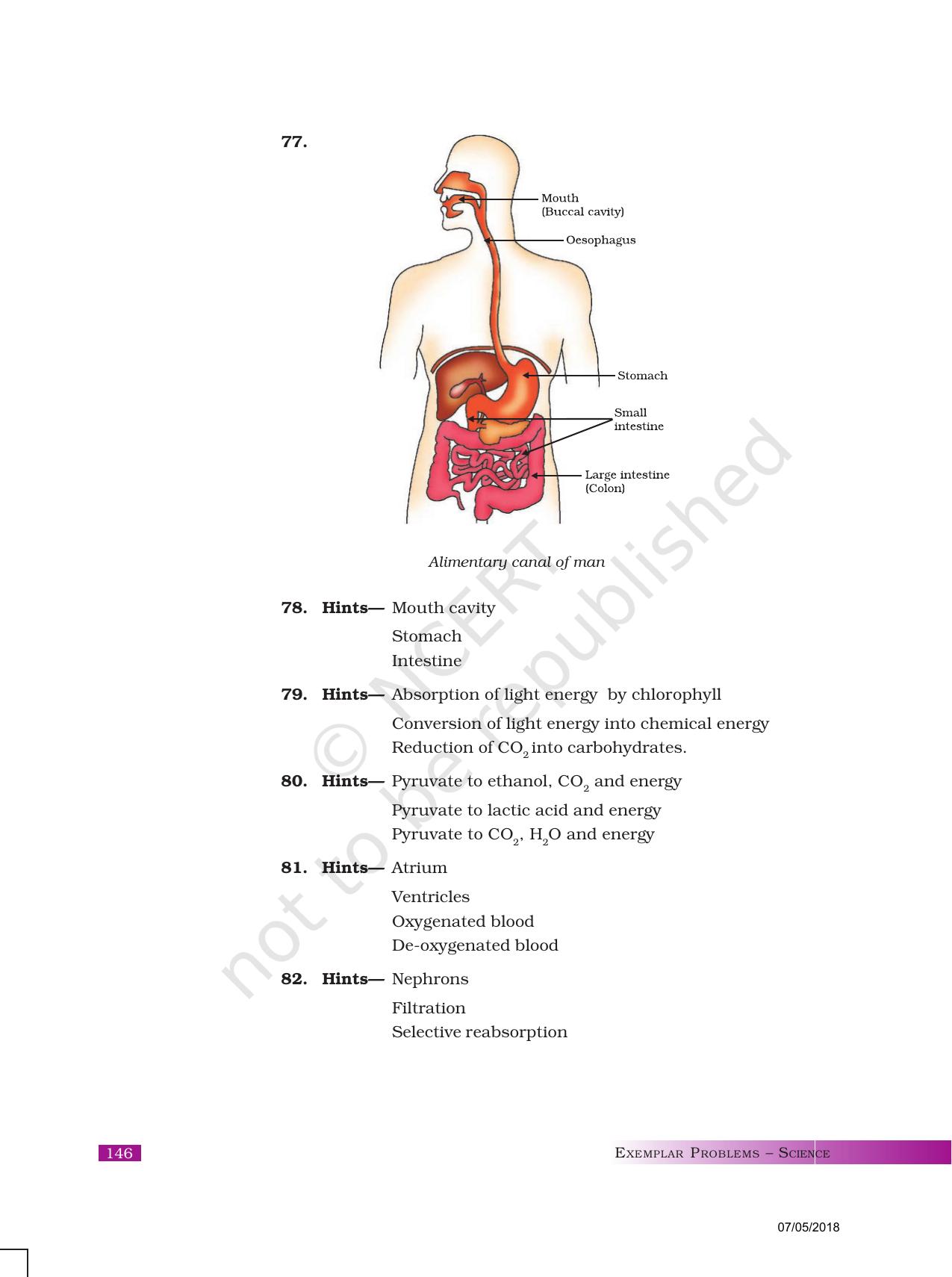 NCERT Exemplar Class 10: Science Answers - Page 30