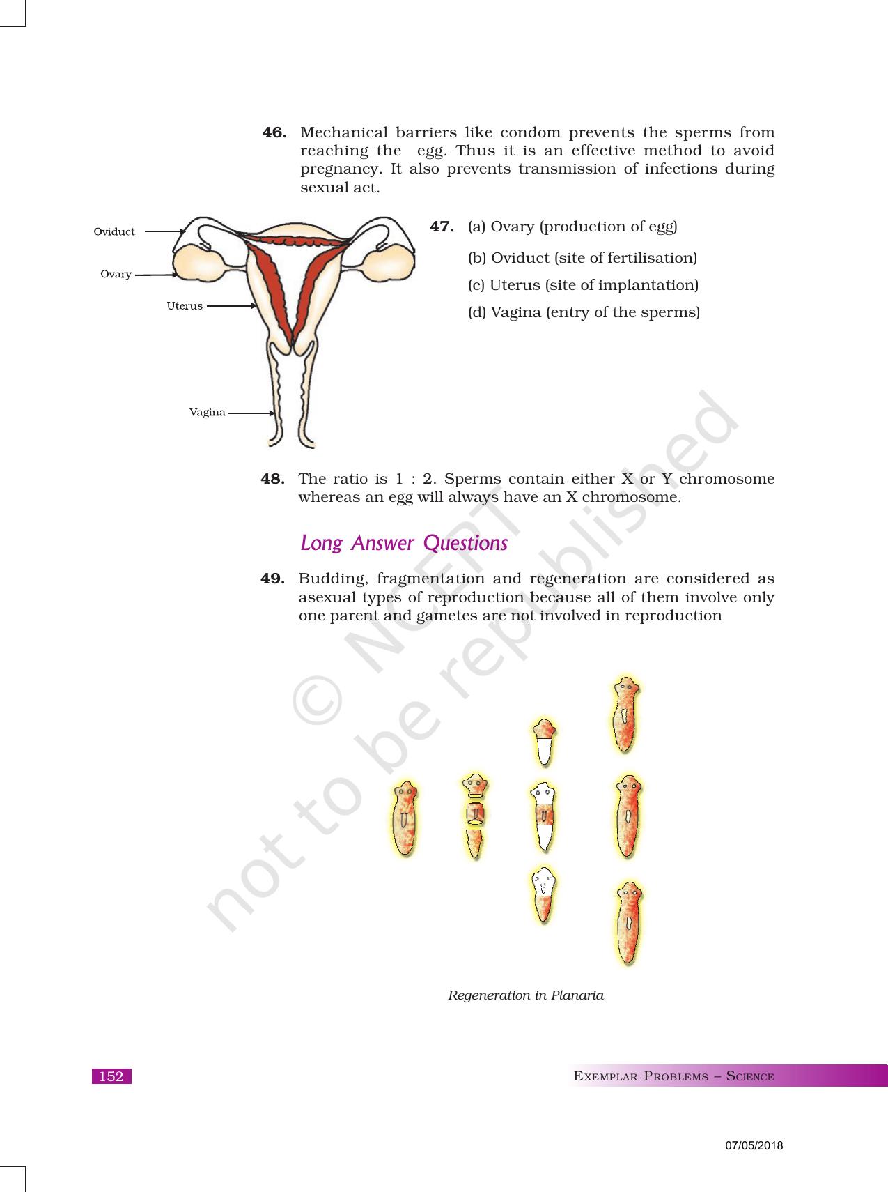 NCERT Exemplar Class 10: Science Answers - Page 36