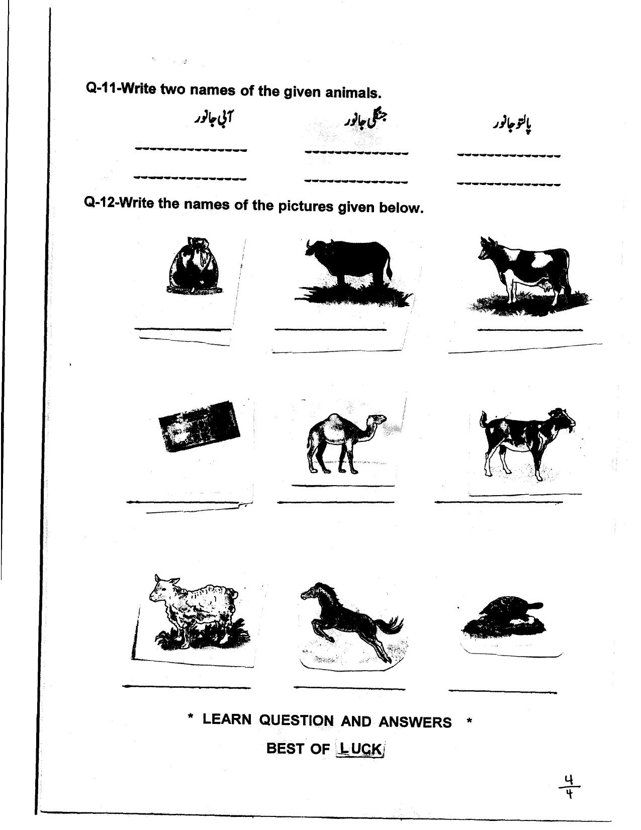 Worksheet for Class 4 Urdu Assignment 1 - Page 4