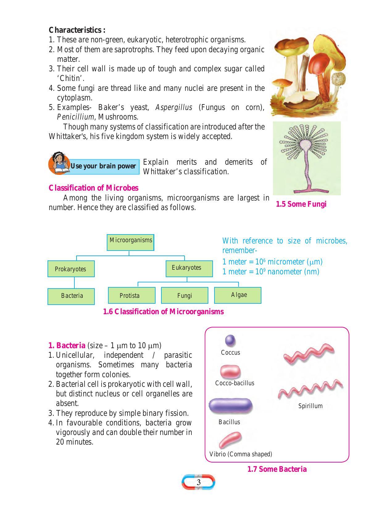 Maharashtra Board Class 8 Science Textbook - Page 13