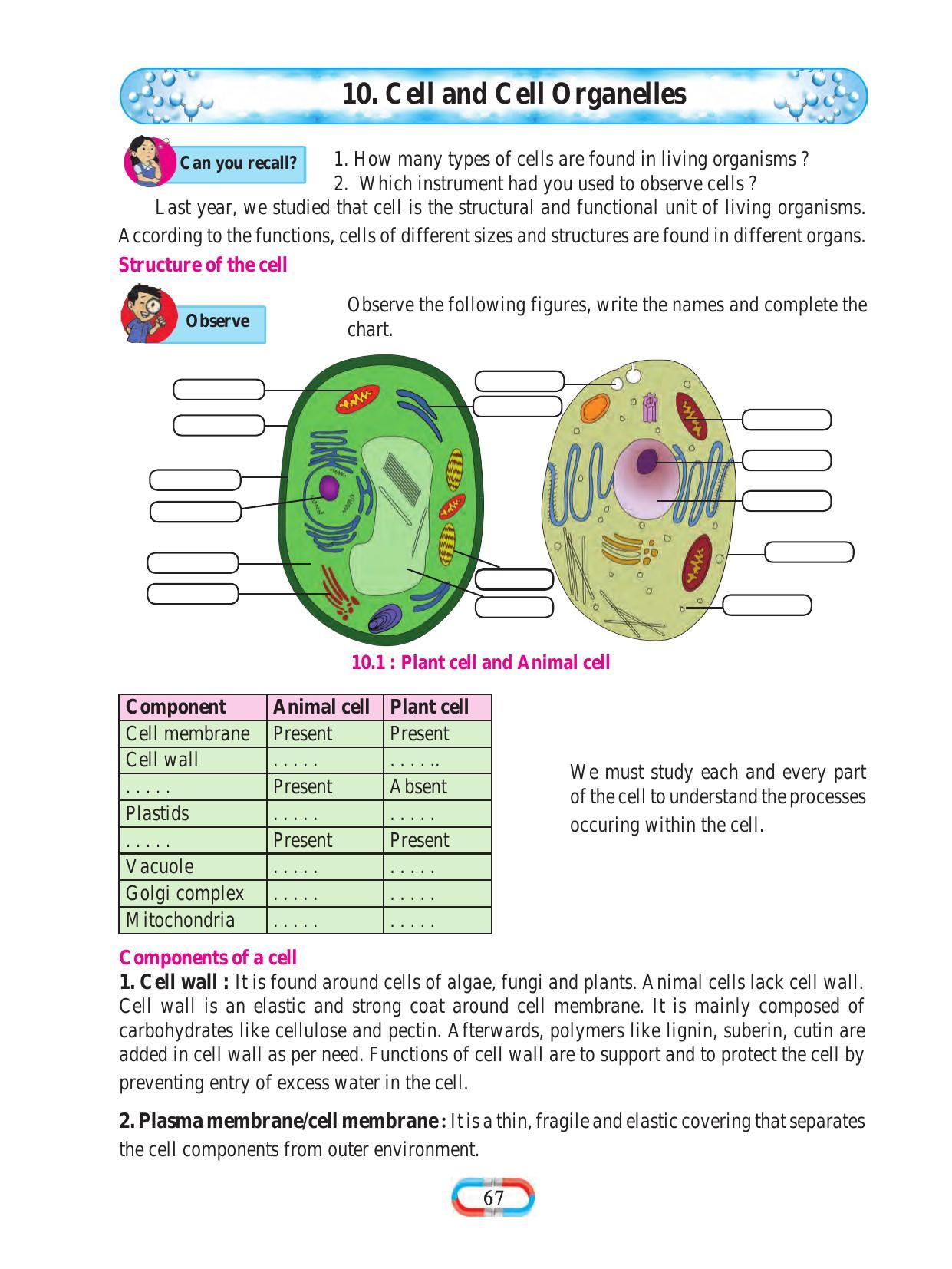 Maharashtra Board Class 8 Science Textbook - Page 77