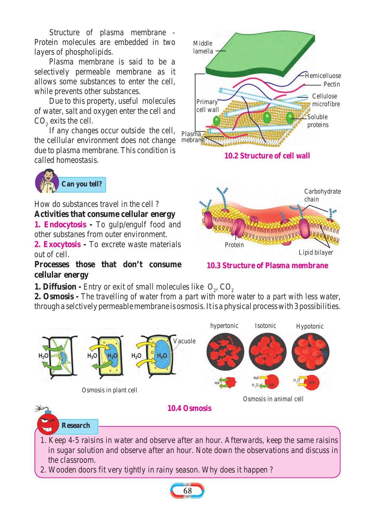 Maharashtra Board Class 8 Science Textbook - Page 78