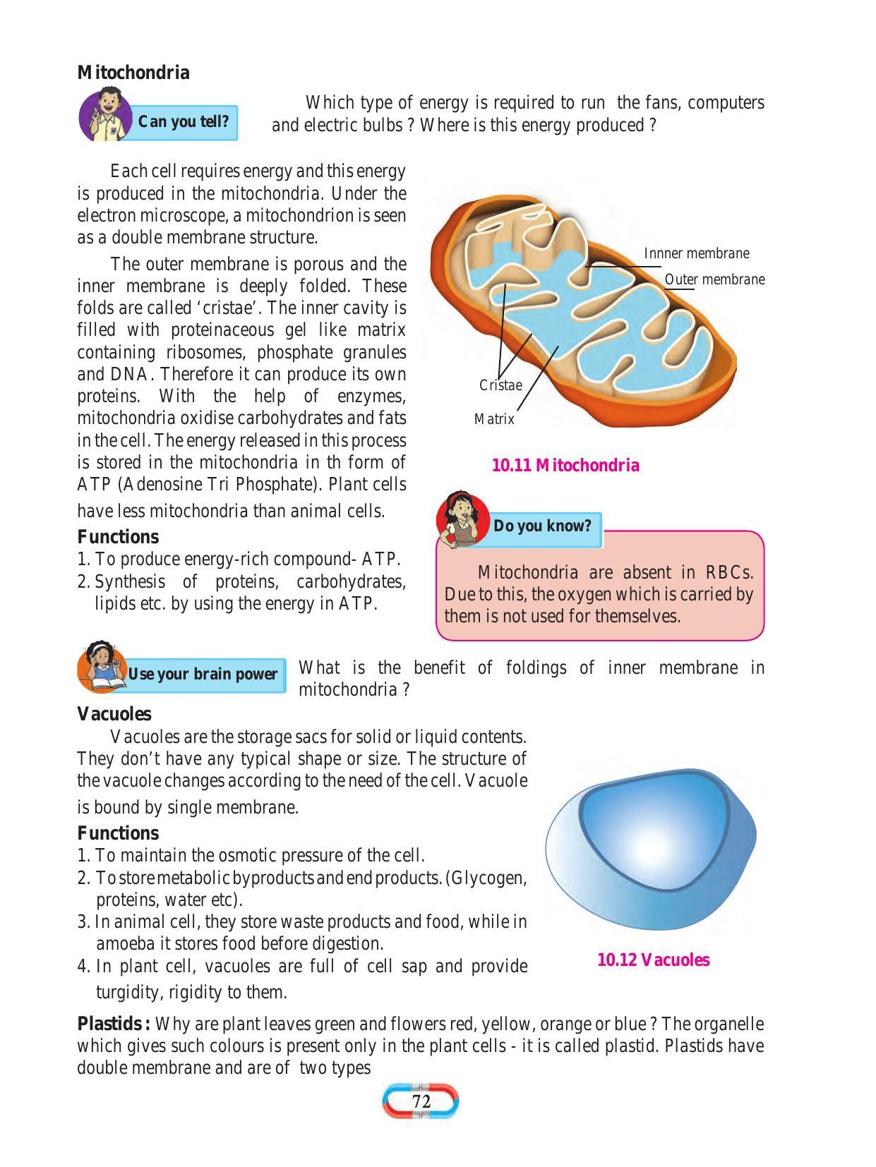 Maharashtra Board Class 8 Science Textbook - Page 82