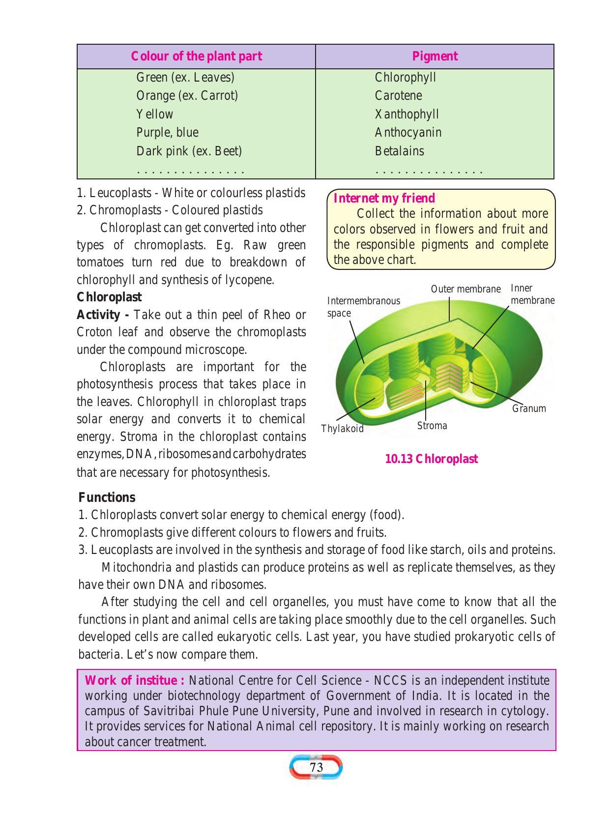 Maharashtra Board Class 8 Science Textbook - Page 83