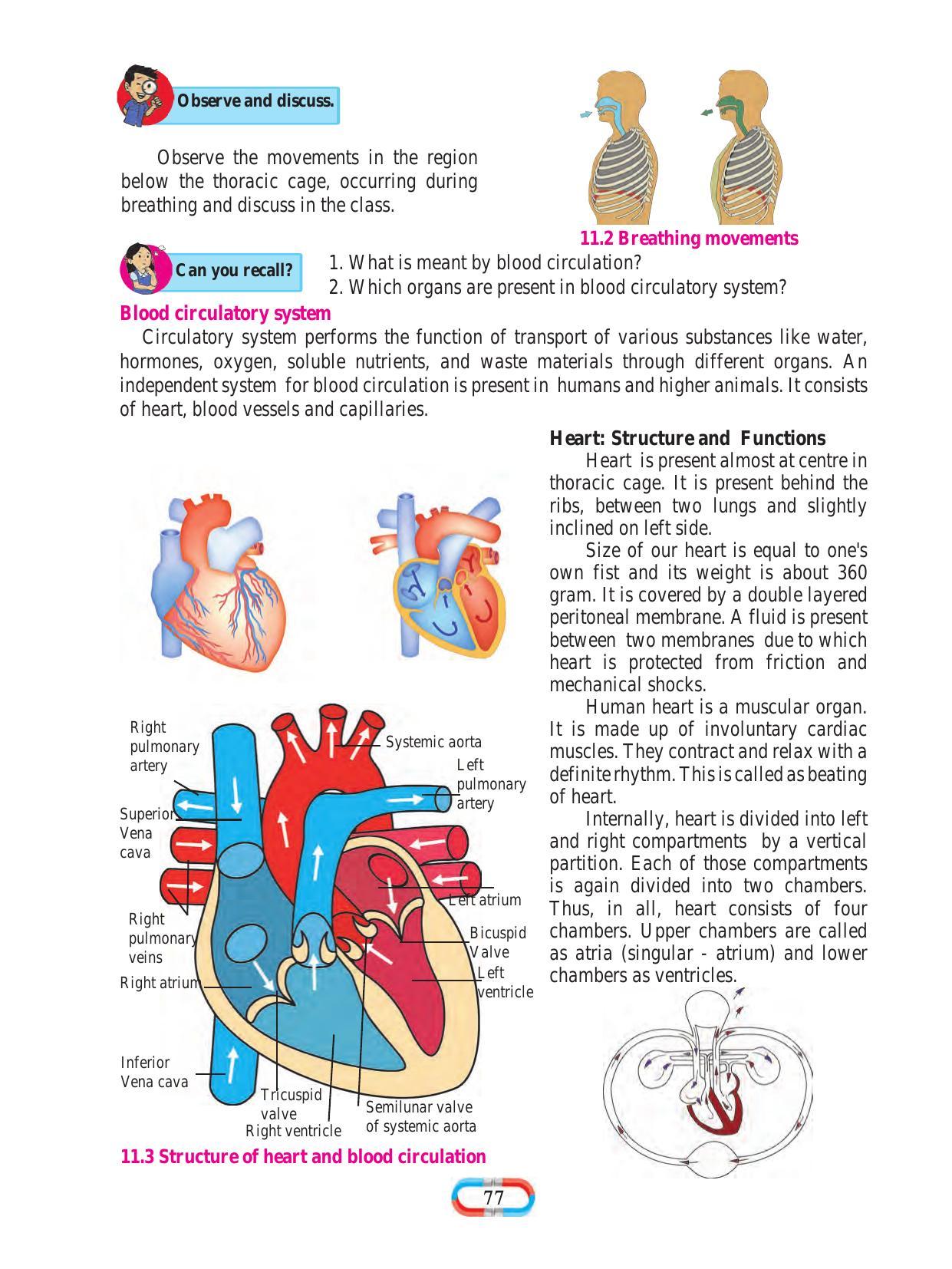 Maharashtra Board Class 8 Science Textbook - Page 87