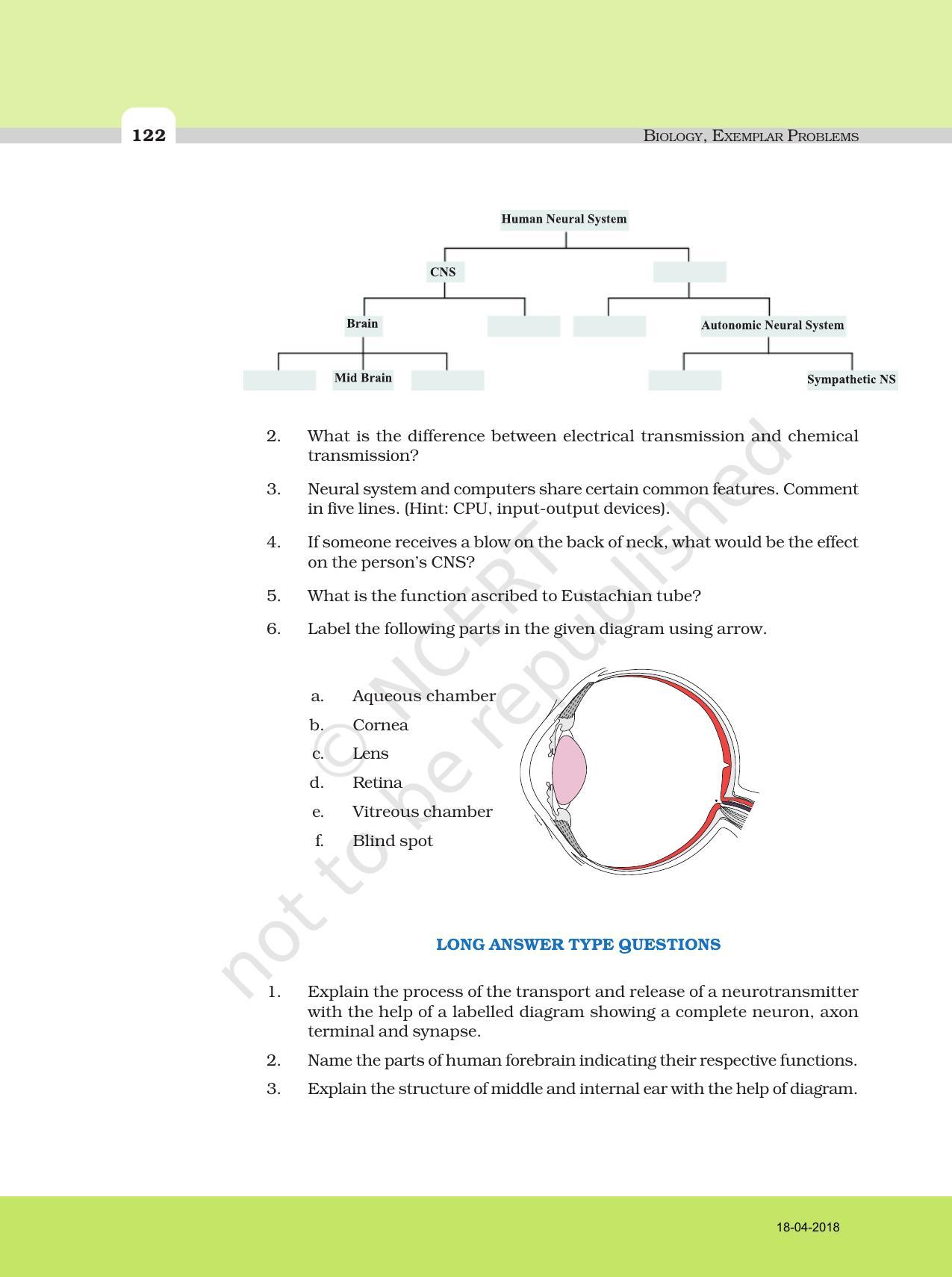 NCERT Exemplar Book for Class 11 Biology: Chapter 21 Neural Control and Coordination - Page 4