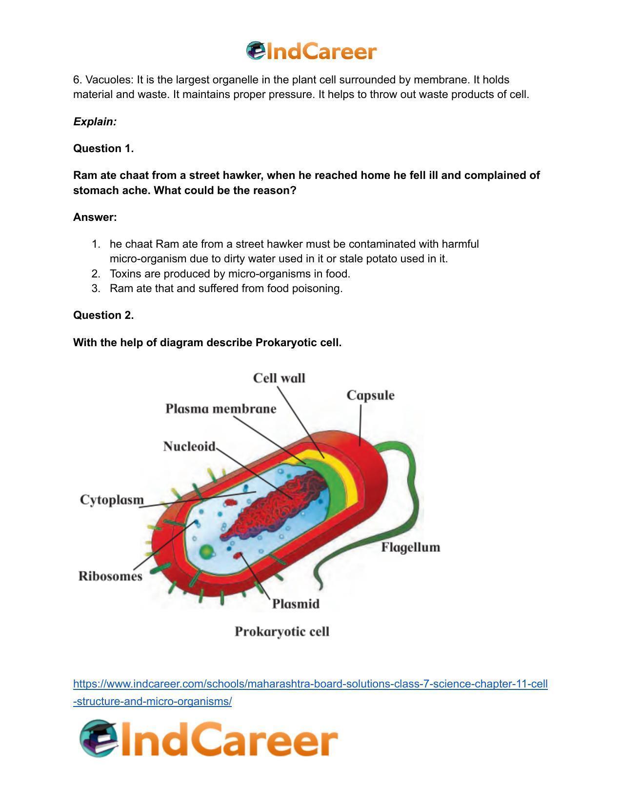 Maharashtra Board Solutions Class 7-Science: Chapter 11- Cell Structure and Micro-organisms - Page 25