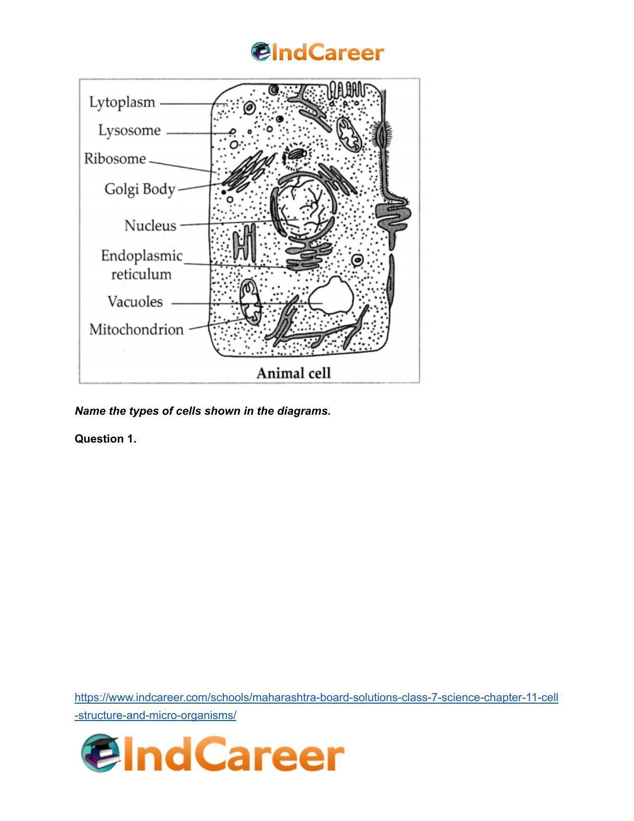 Maharashtra Board Solutions Class 7-Science: Chapter 11- Cell Structure and Micro-organisms - Page 27