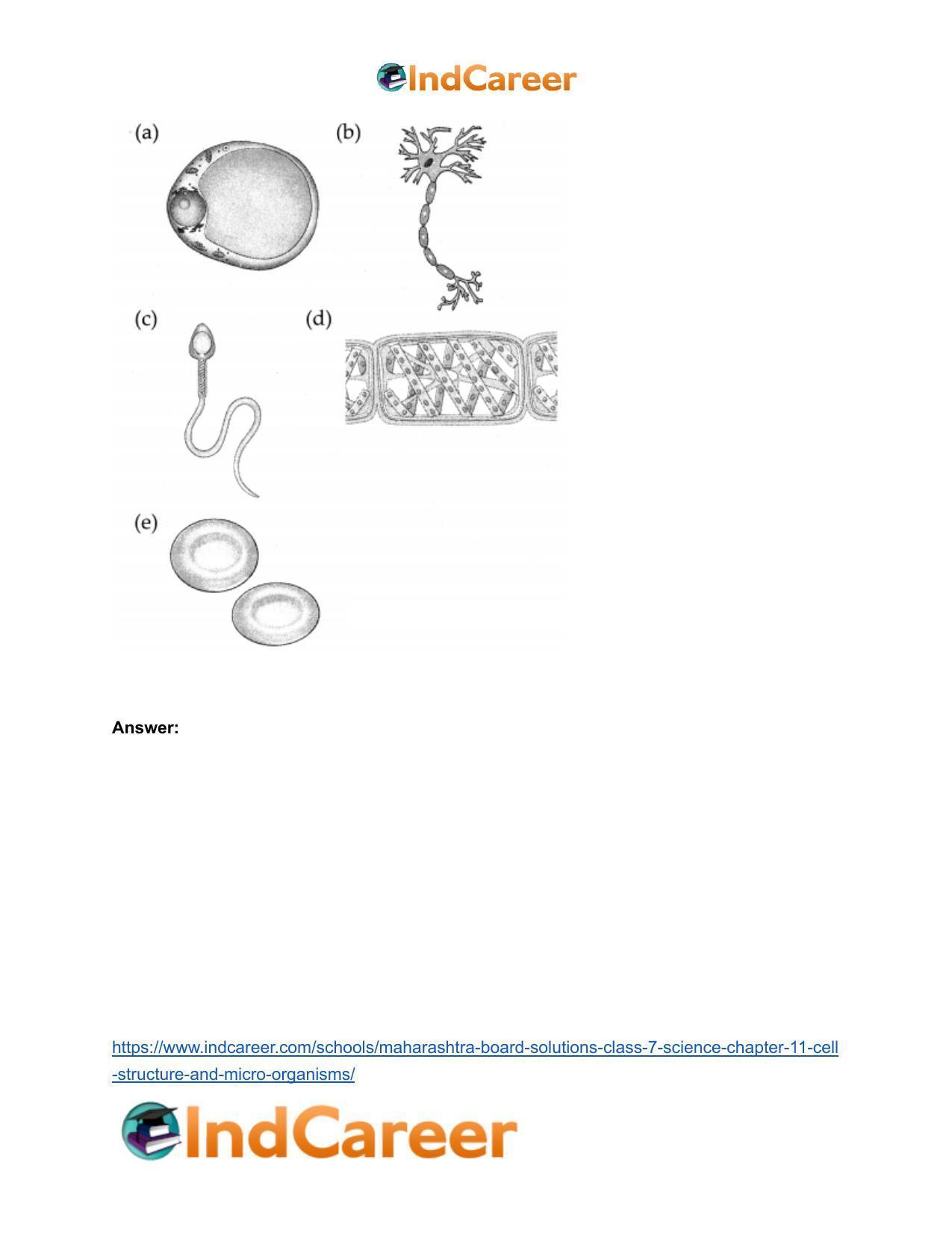 Maharashtra Board Solutions Class 7-Science: Chapter 11- Cell Structure and Micro-organisms - Page 28