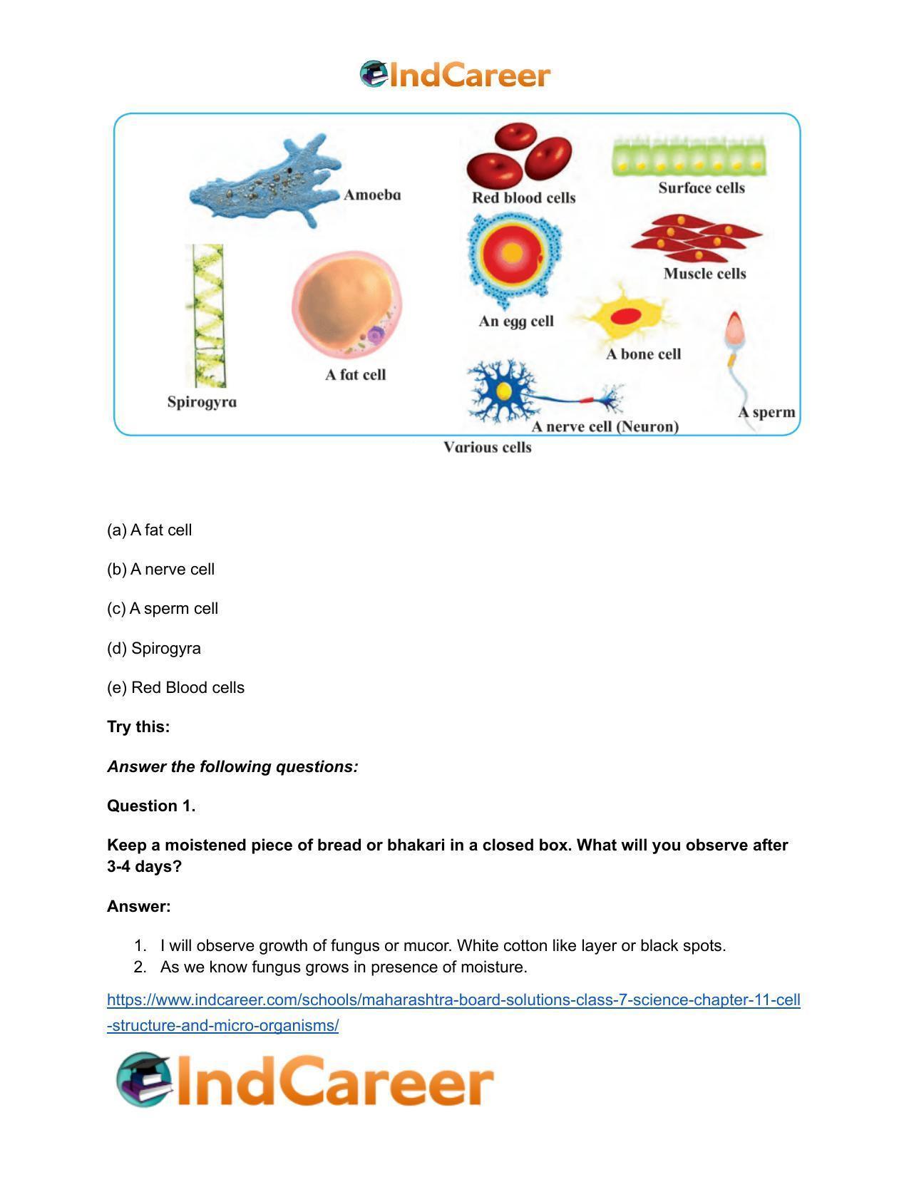 Maharashtra Board Solutions Class 7-Science: Chapter 11- Cell Structure and Micro-organisms - Page 29
