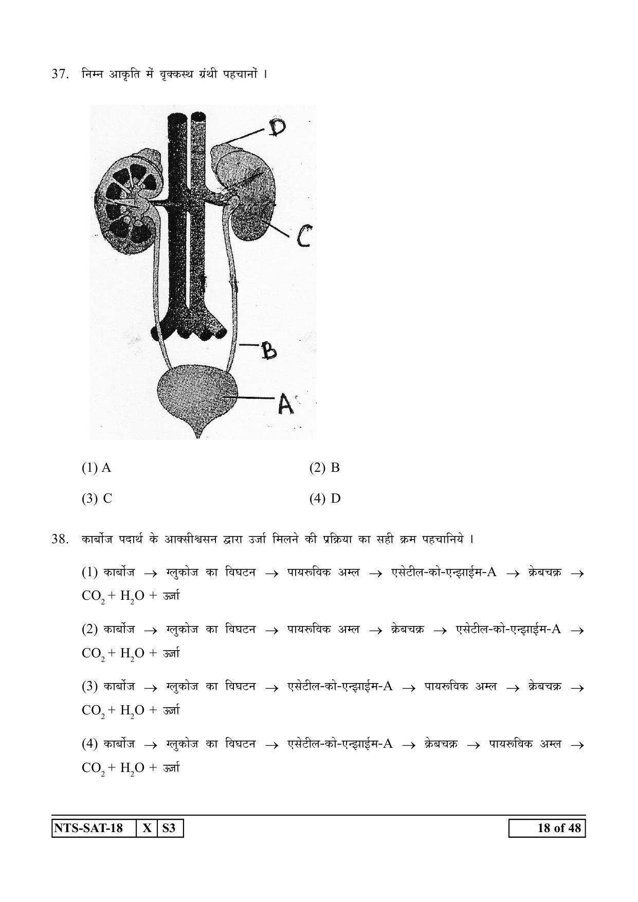 Maharashtra NTSE 2019 SAT (Hindi) Question Paper - Page 18