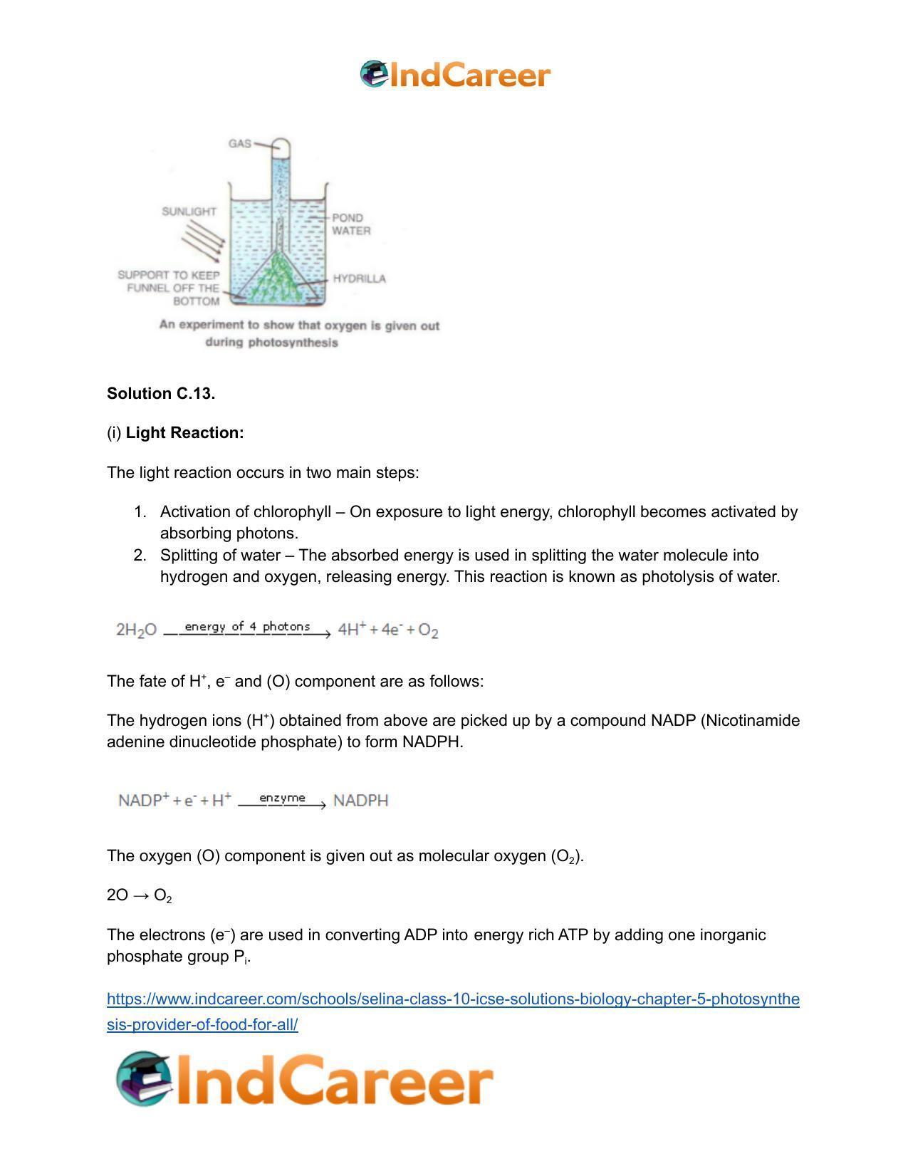 Selina Class 10 ICSE Solutions Biology : Chapter 5- Photosynthesis: Provider of Food for All - Page 9