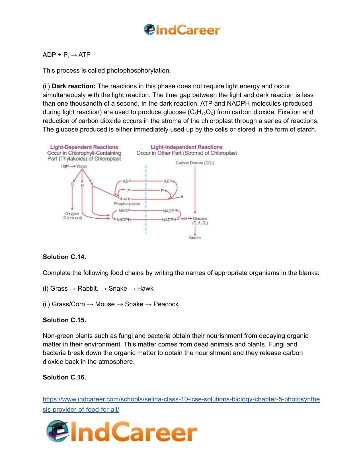 Selina Class 10 ICSE Solutions Biology : Chapter 5- Photosynthesis: Provider of Food for All - Page 10