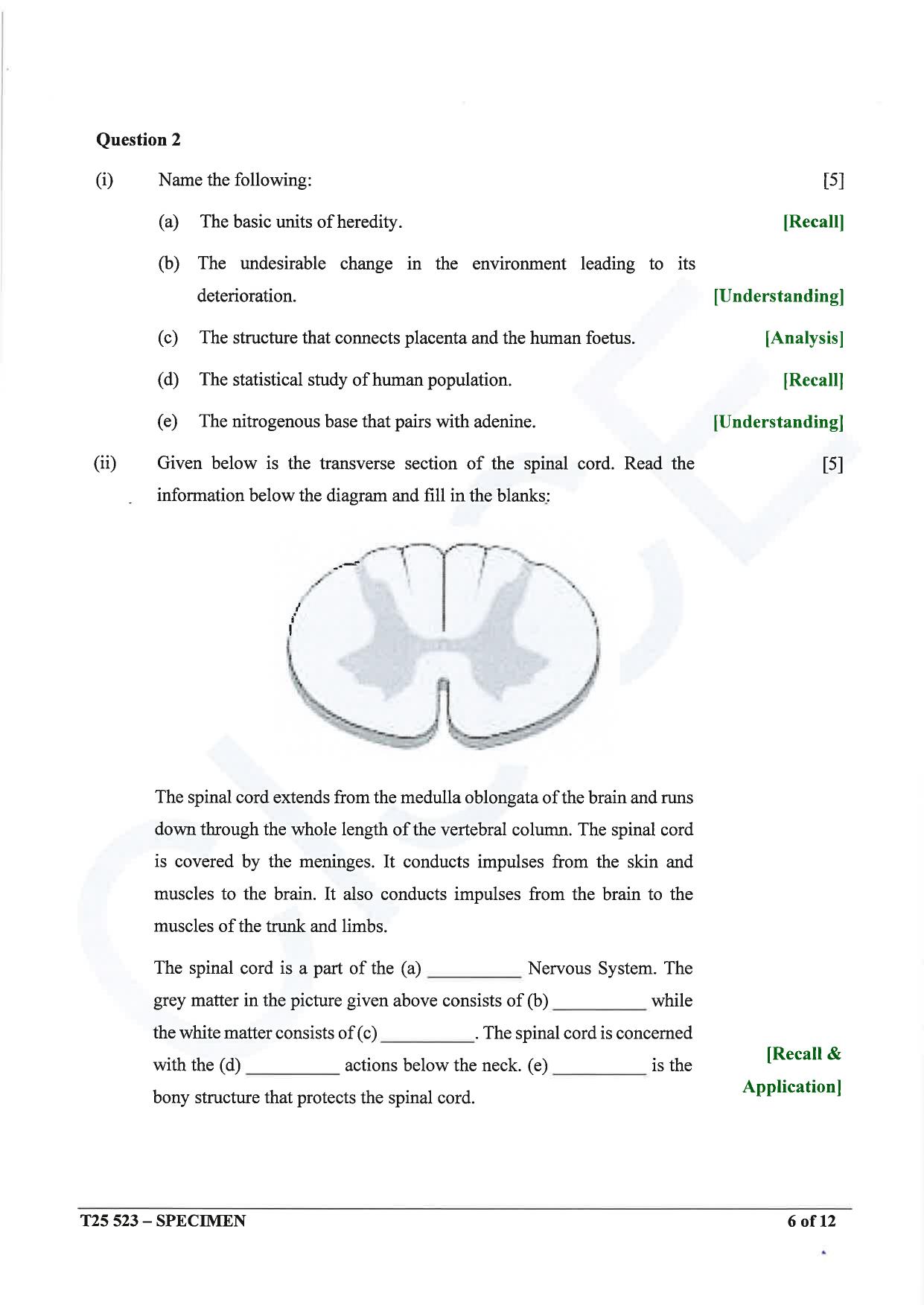 ICSE Class 10 2025 Biology (Science Paper 3) (QP & MS) Specimen Paper - Page 6