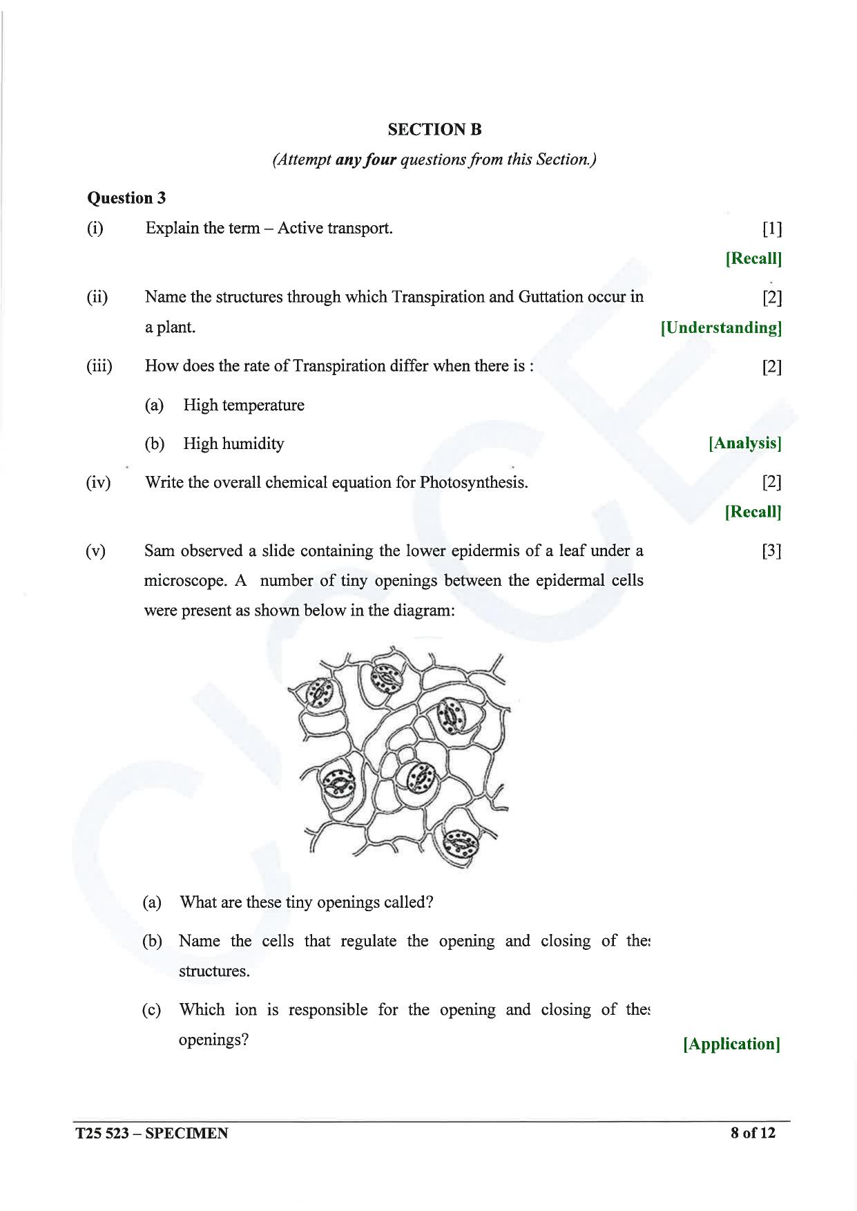 ICSE Class 10 2025 Biology (Science Paper 3) (QP & MS) Specimen Paper - Page 8