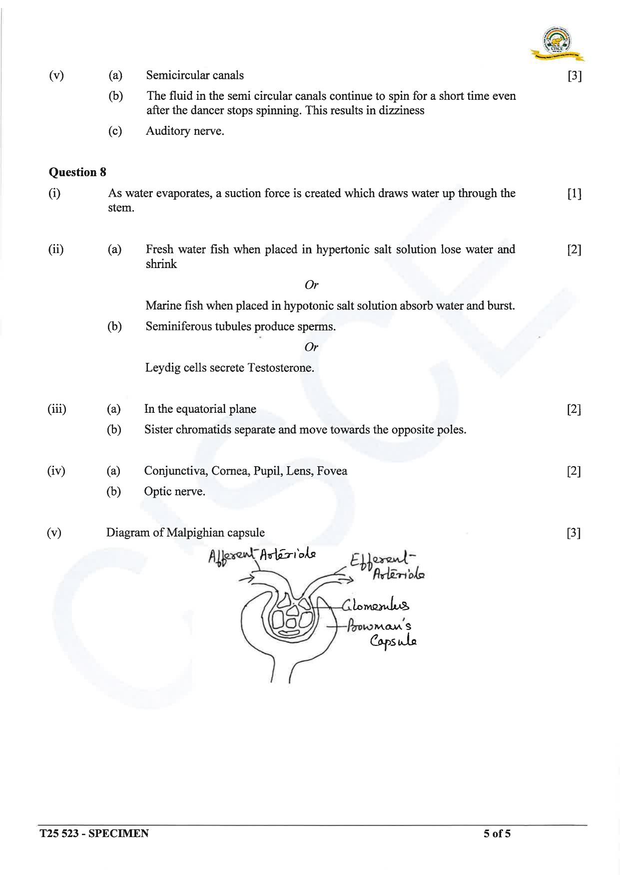 ICSE Class 10 2025 Biology (Science Paper 3) (QP & MS) Specimen Paper - Page 17