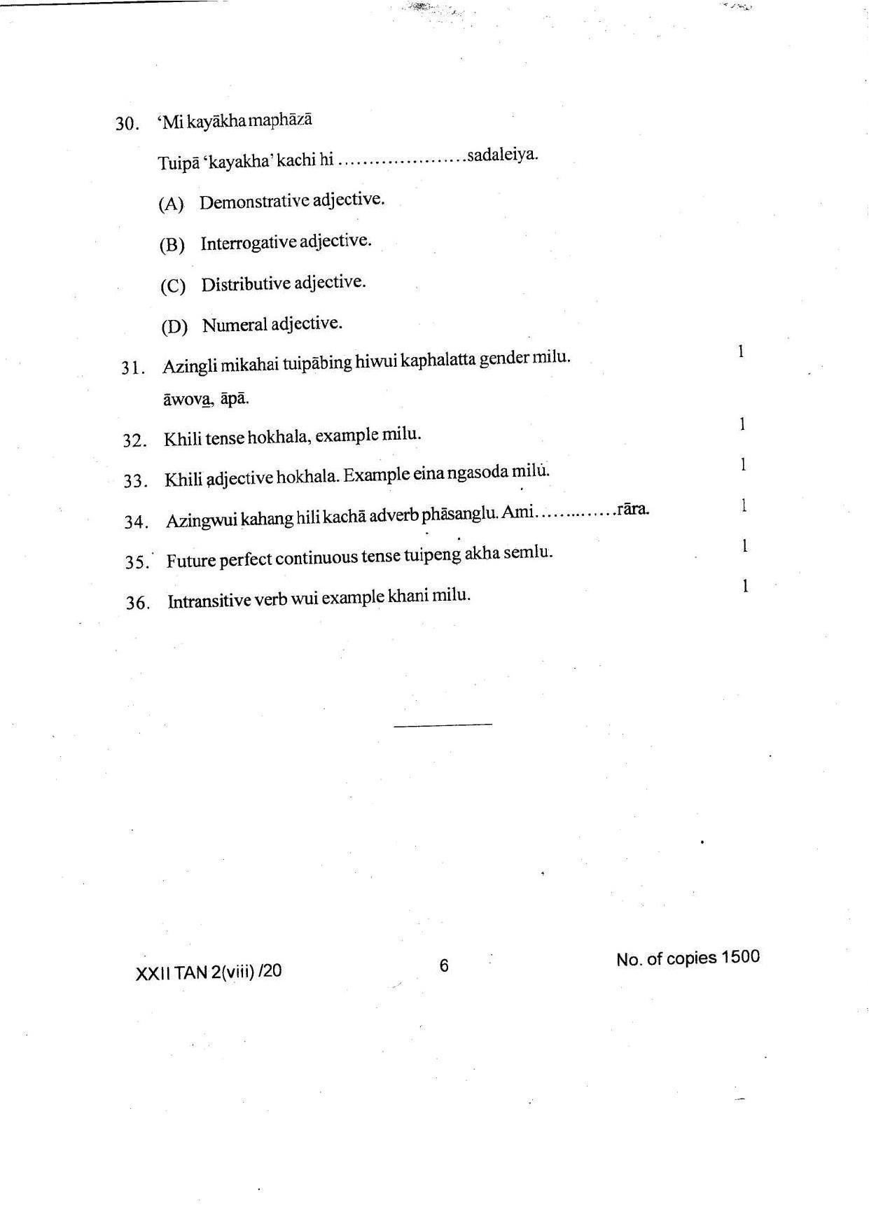 COHSEM Class 12 Tangkhul Question Papers 2020 - Page 6