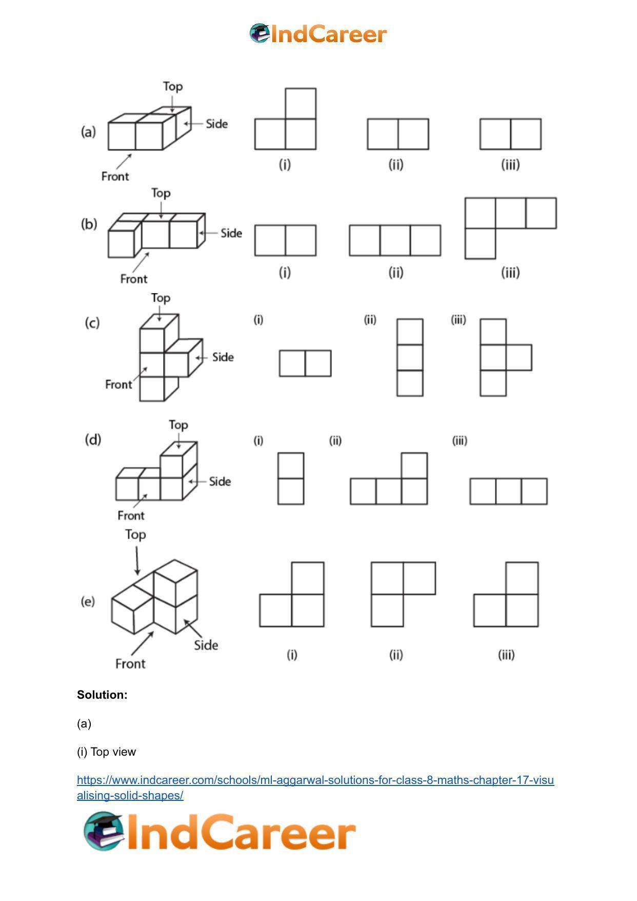 ML Aggarwal Solutions for Class 8 Maths Chapter 17- Visualising Solid Shapes - Page 12