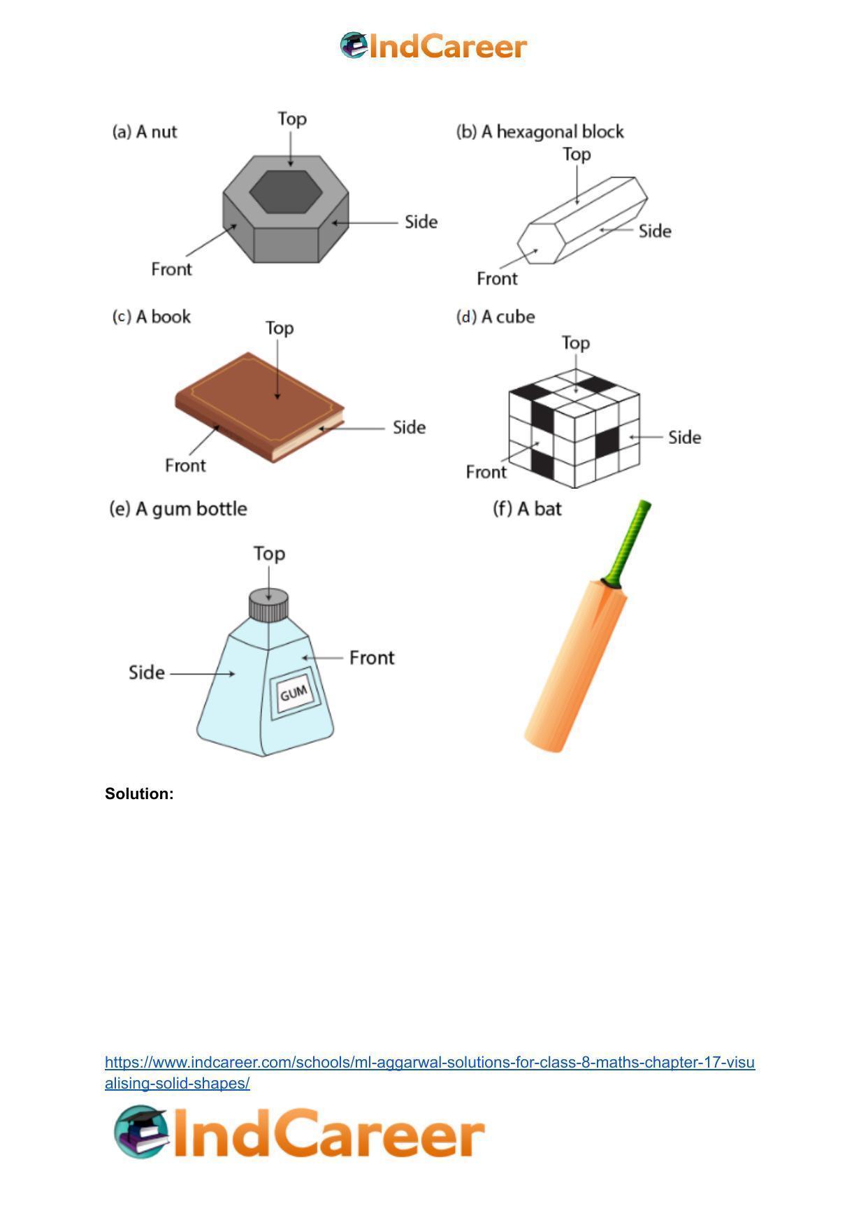 ML Aggarwal Solutions for Class 8 Maths Chapter 17- Visualising Solid Shapes - Page 14