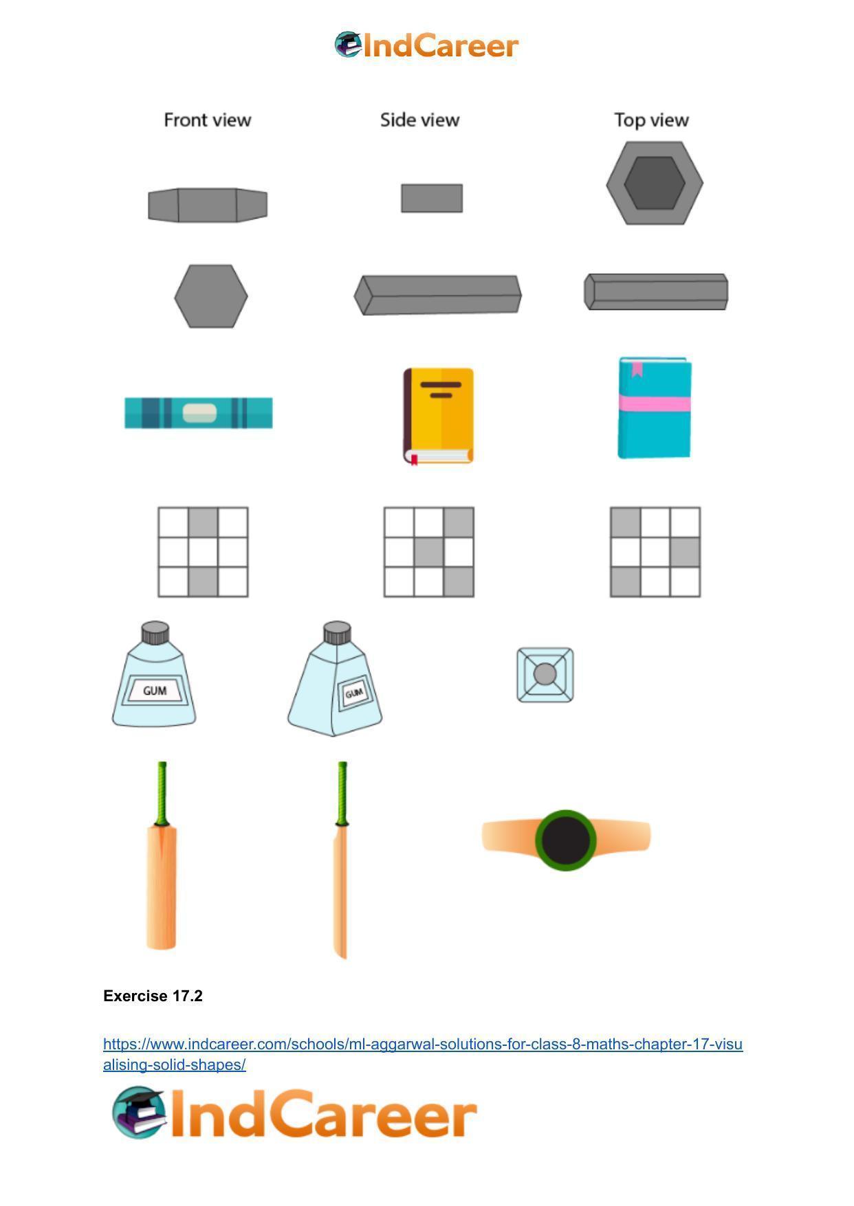 ML Aggarwal Solutions for Class 8 Maths Chapter 17- Visualising Solid Shapes - Page 15