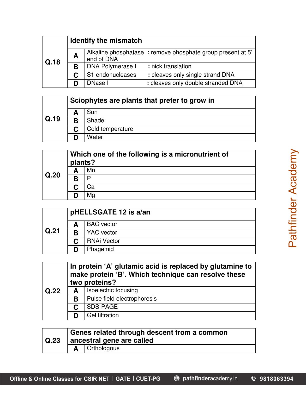 BET 2013 Question Paper - Page 5