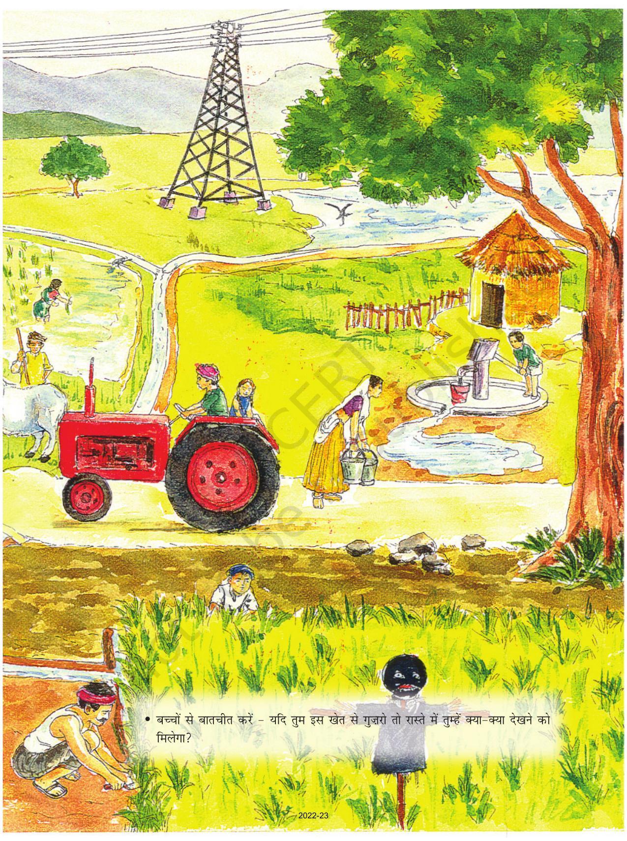 NCERT Book for Class 1 Hindi :Chapter 3-पत्ते ही पत्ते - Page 13