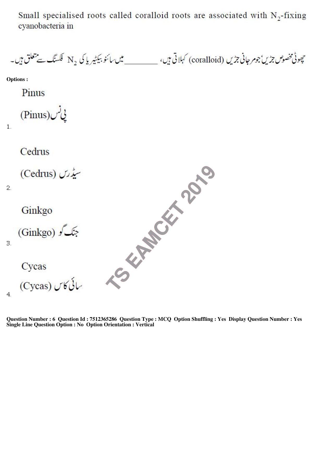 TS EAMCET 2019 Agriculture and Medical Question Paper with Key (8 May 2019 Forenoon (Urdu)) - Page 5
