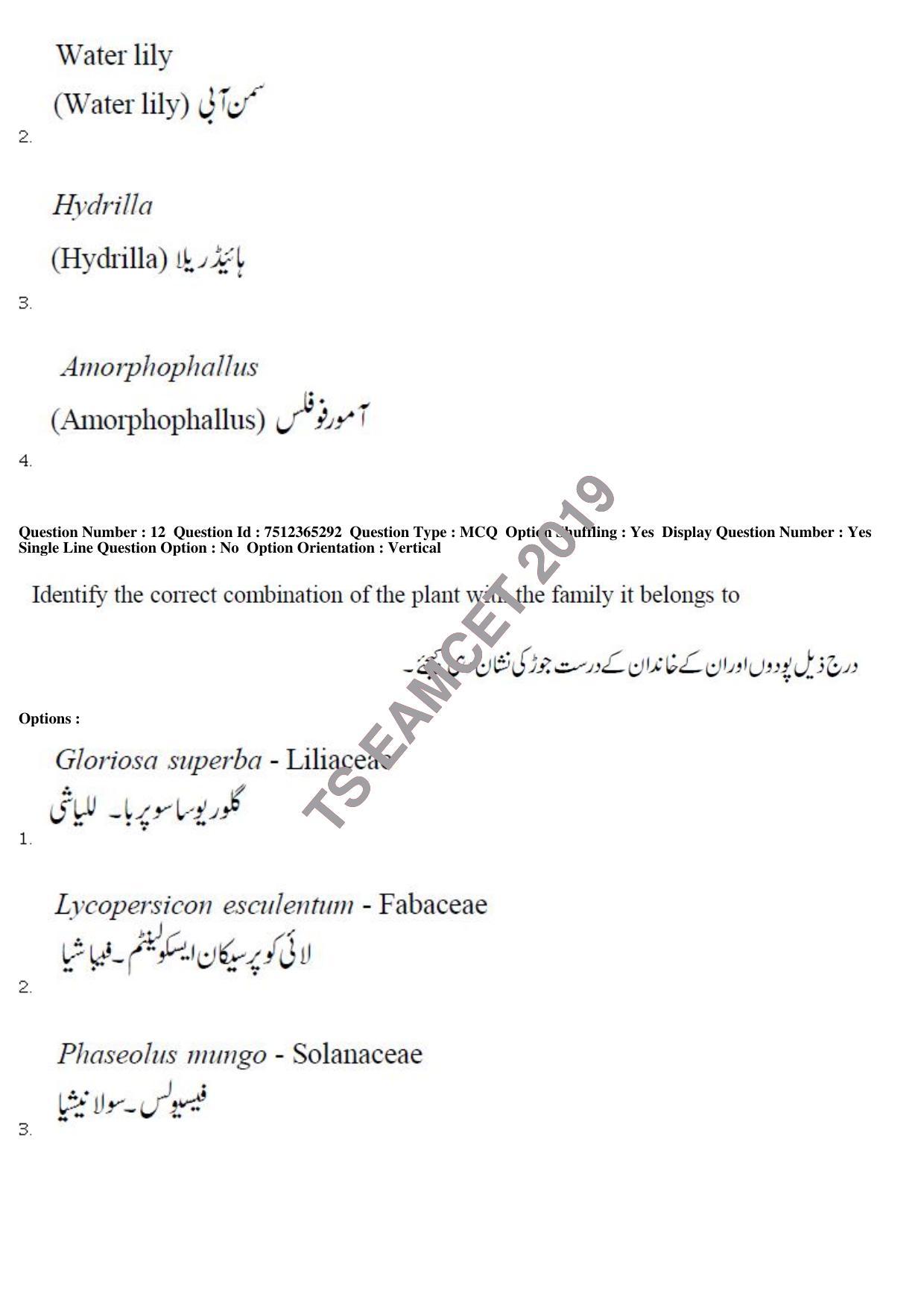 TS EAMCET 2019 Agriculture and Medical Question Paper with Key (8 May 2019 Forenoon (Urdu)) - Page 11