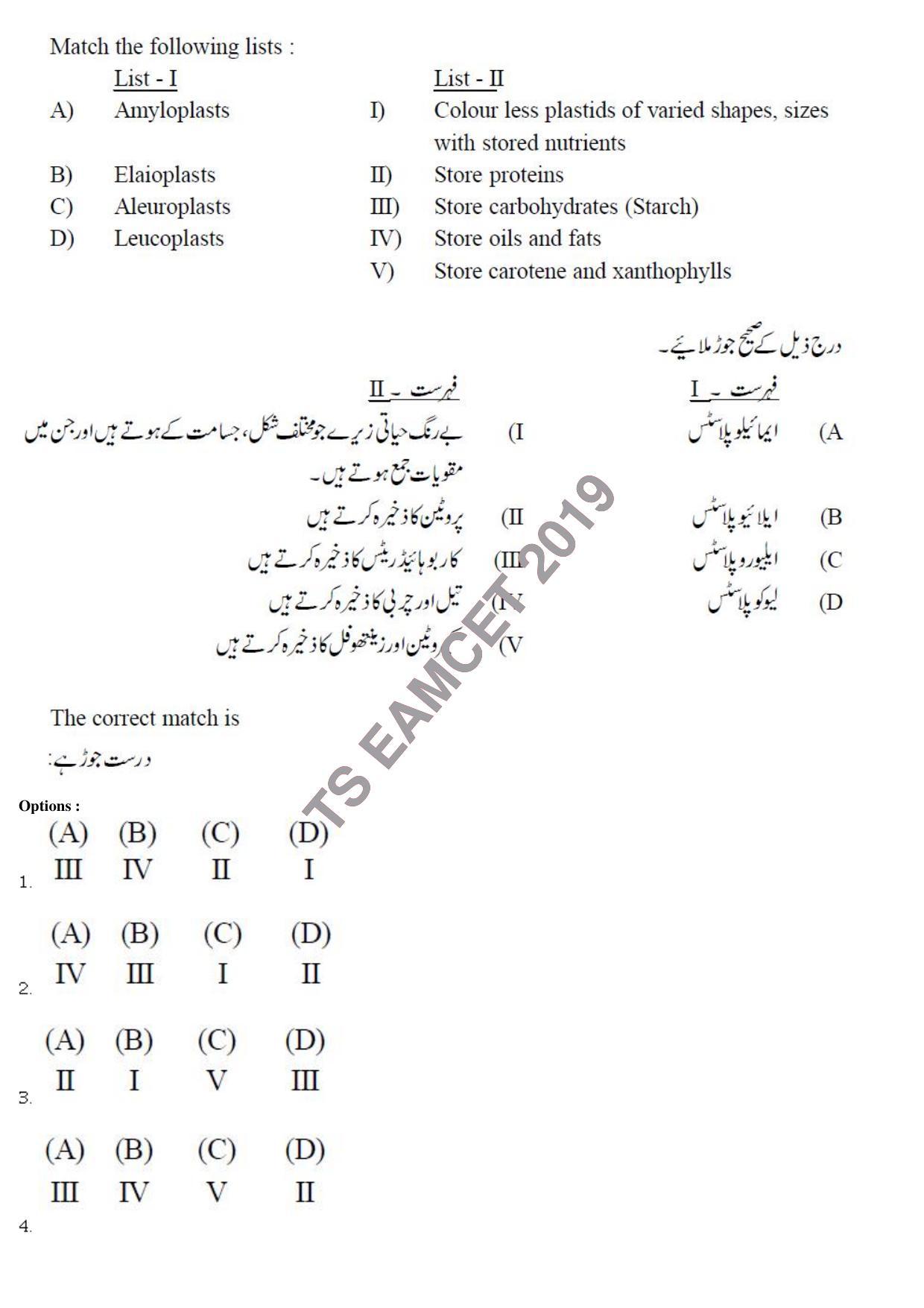 TS EAMCET 2019 Agriculture and Medical Question Paper with Key (8 May 2019 Forenoon (Urdu)) - Page 13