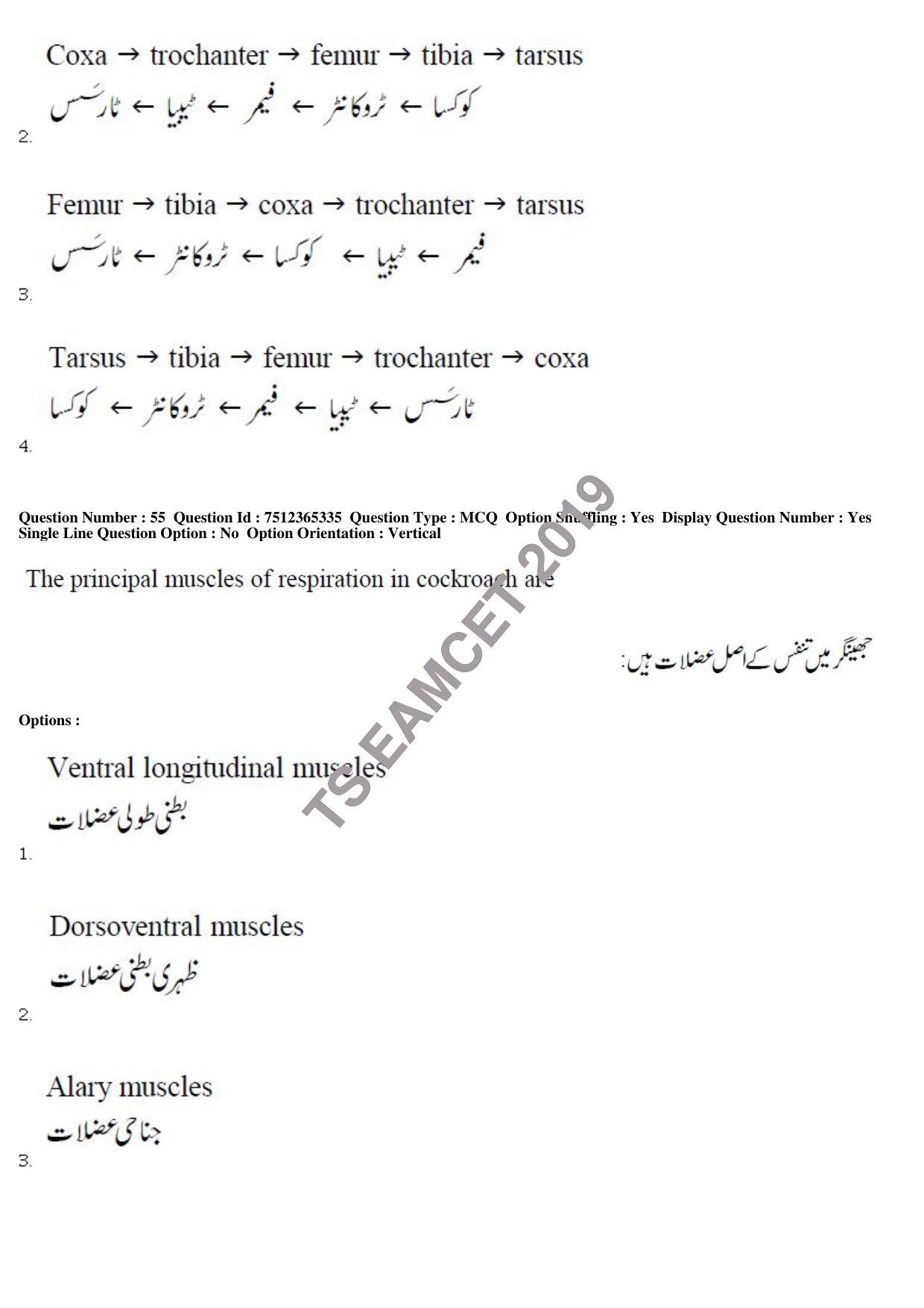 TS EAMCET 2019 Agriculture and Medical Question Paper with Key (8 May 2019 Forenoon (Urdu)) - Page 51