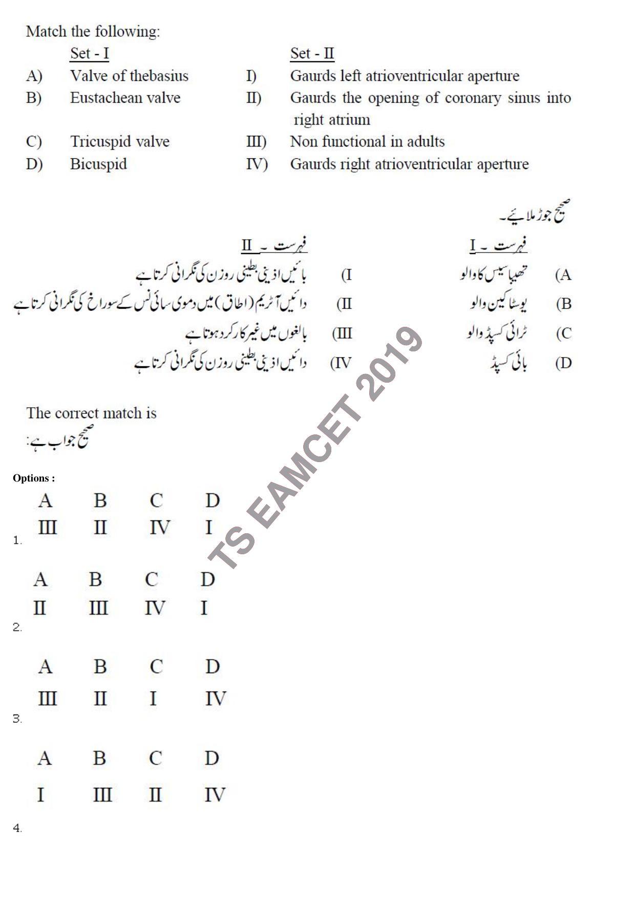 TS EAMCET 2019 Agriculture and Medical Question Paper with Key (8 May 2019 Forenoon (Urdu)) - Page 58