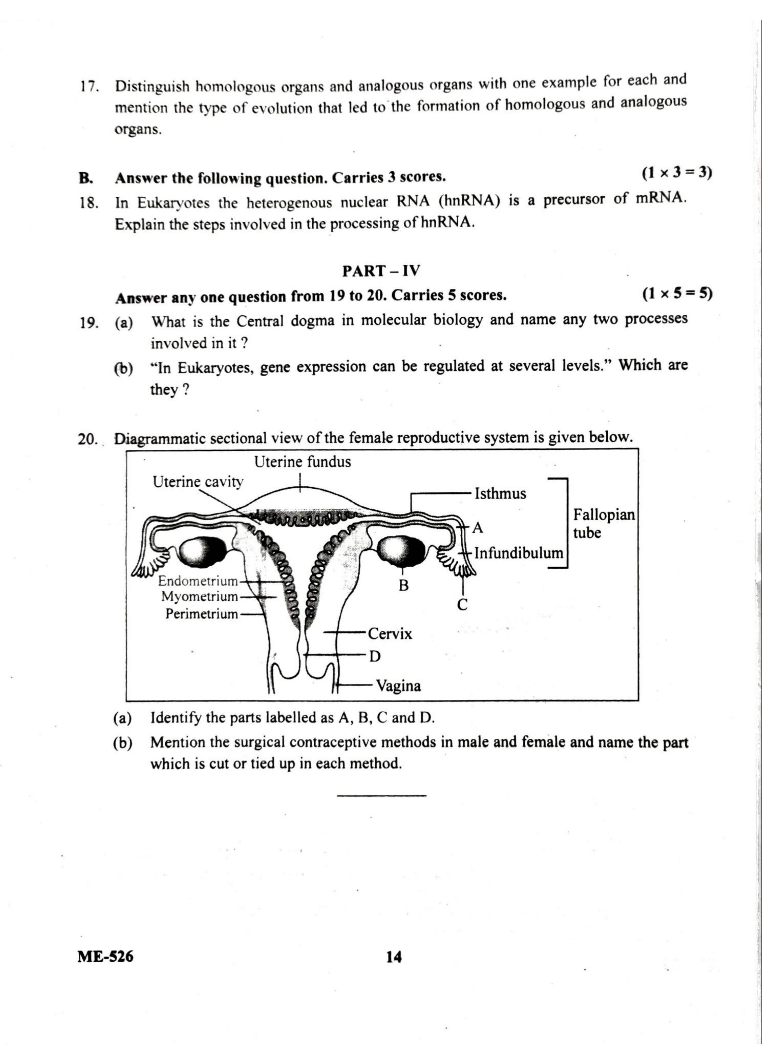 Kerala Plus Two 2022 Zoology Model Question Paper - Page 5