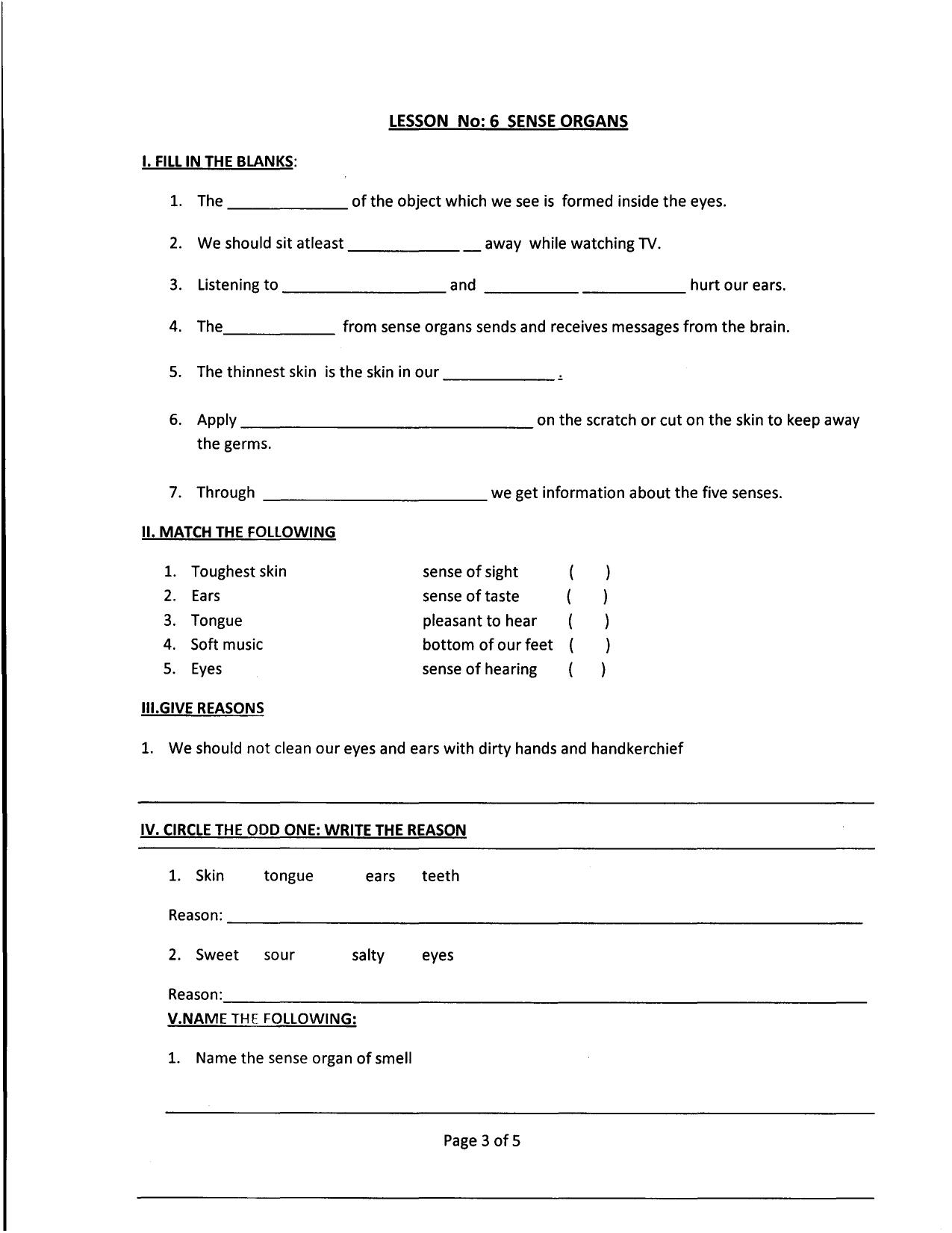 Worksheet for Class 4 Environmental Studies Work Force and Energy Assignment - Page 3