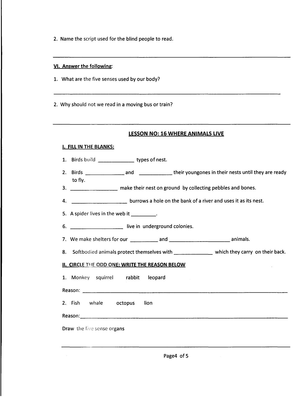 Worksheet for Class 4 Environmental Studies Work Force and Energy Assignment - Page 4
