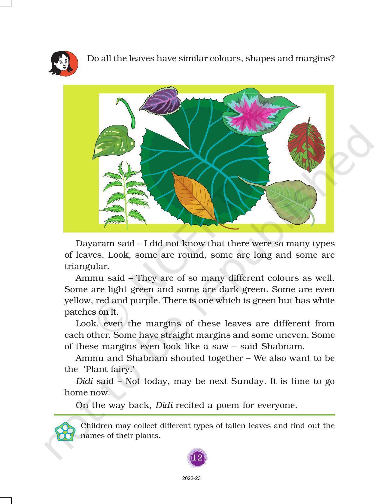 NCERT Book for Class 3 EVS Chapter 2-The Plant Fairy - Page 3