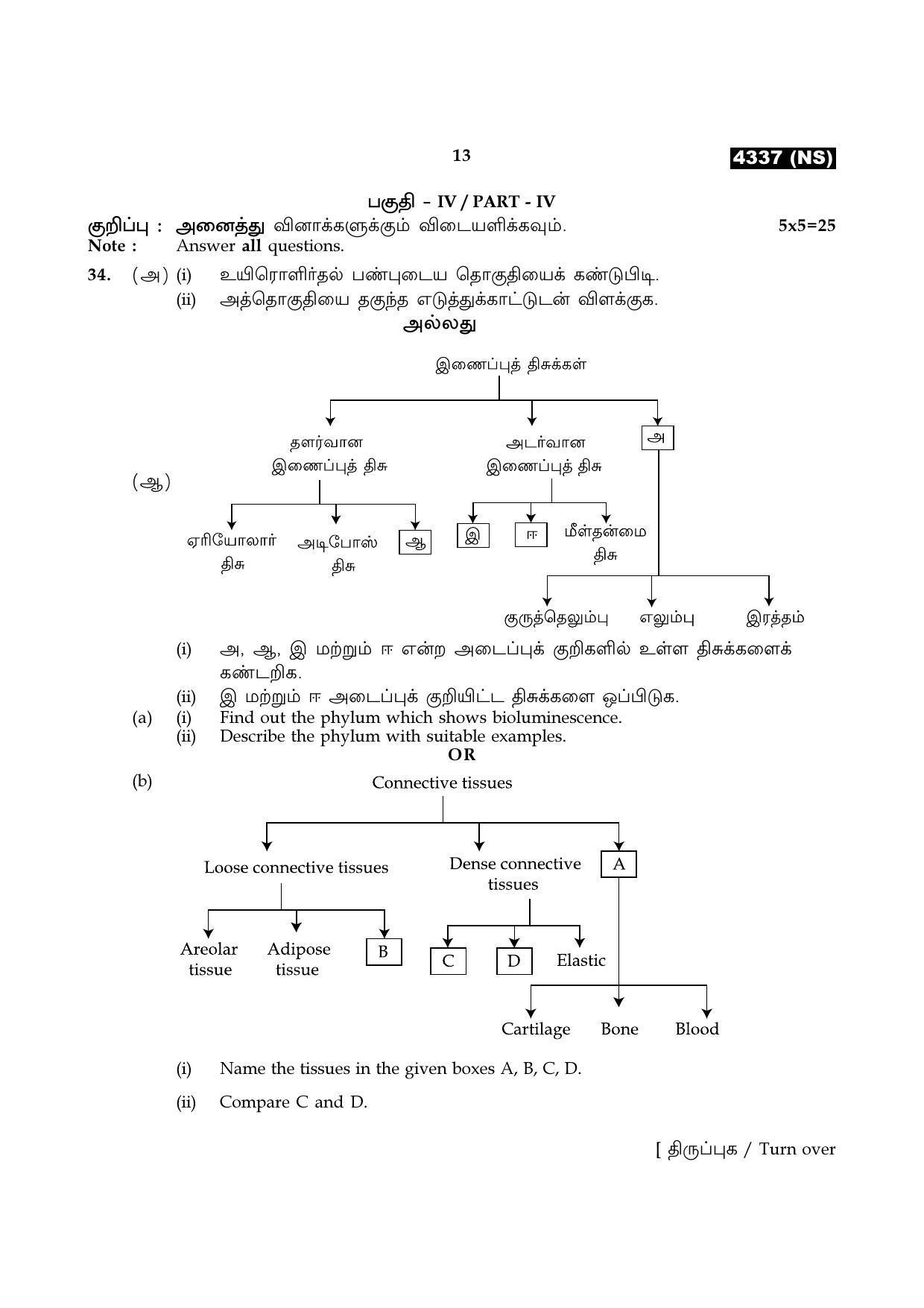 Tamil Nadu Board 12th / HSC Paper II Sample Question Papers - Page 125