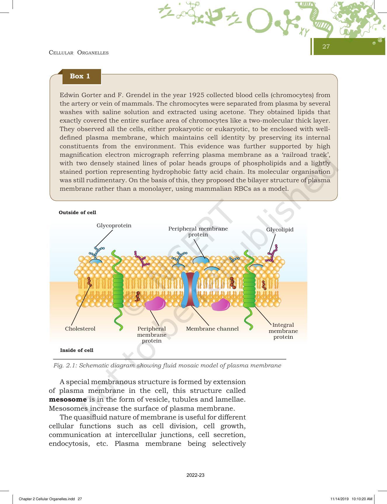 NCERT Book for Class 11 Biotechnology Chapter 2 Cellular Organelles - Page 5