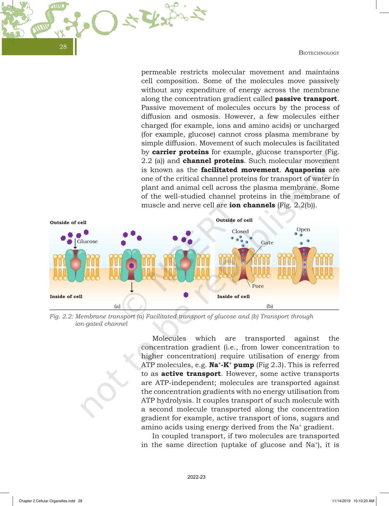 NCERT Book for Class 11 Biotechnology Chapter 2 Cellular Organelles - Page 6