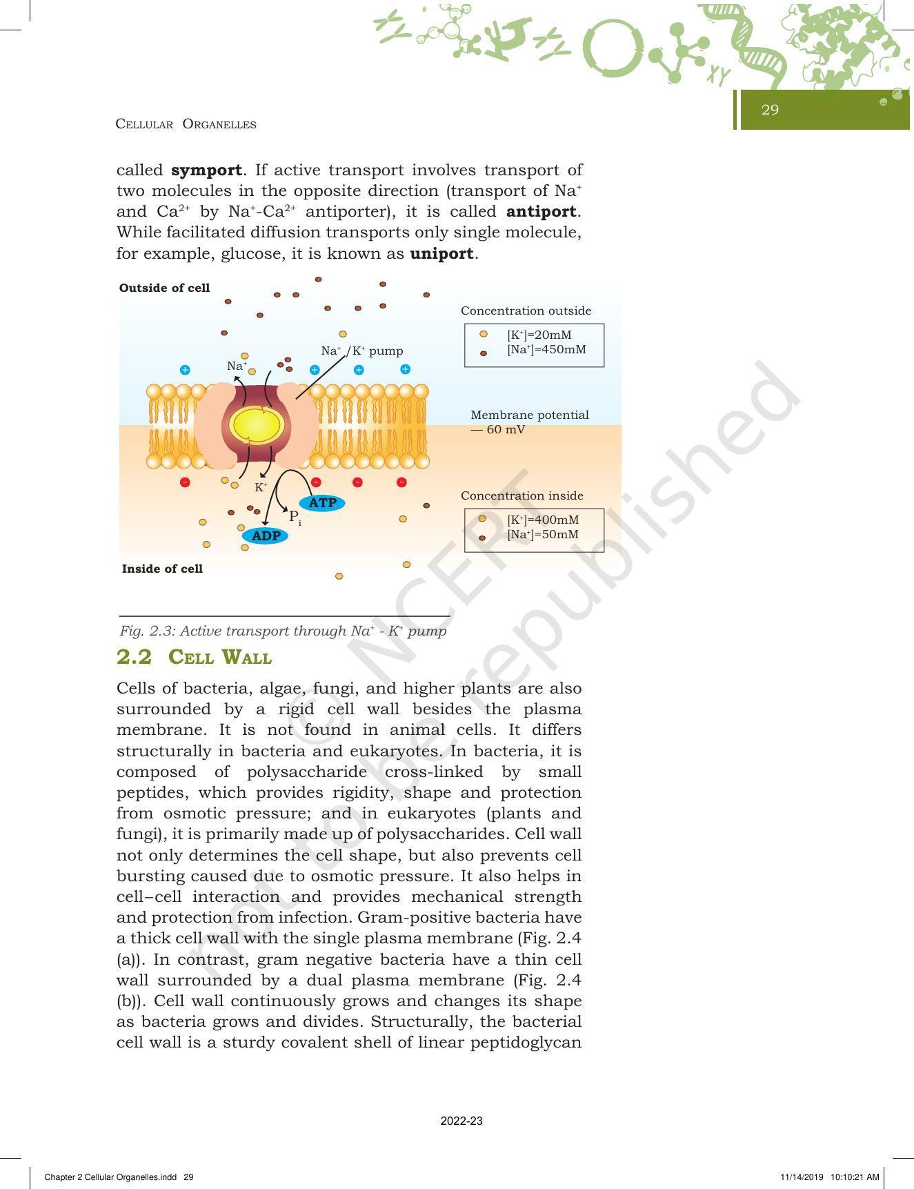 NCERT Book for Class 11 Biotechnology Chapter 2 Cellular Organelles - Page 7