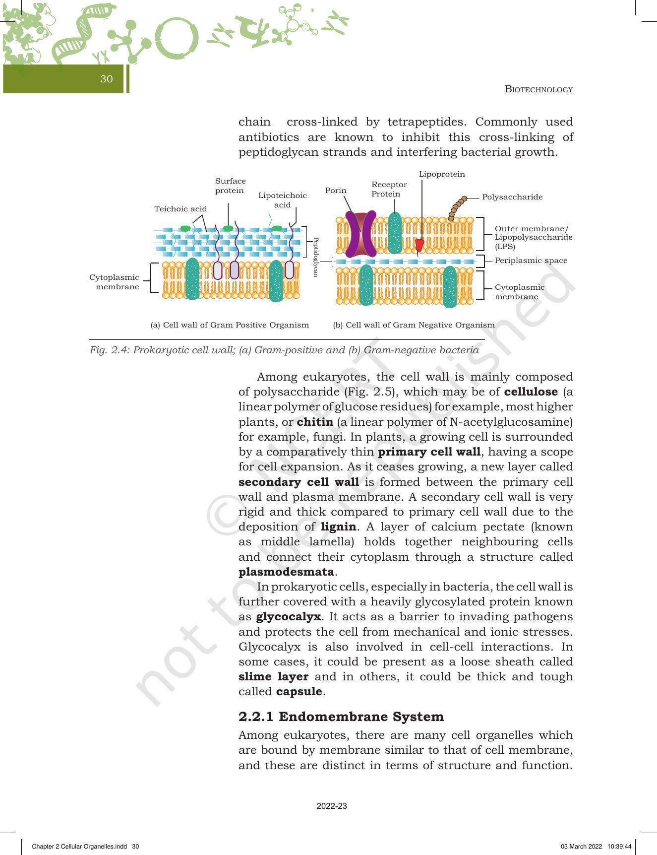 NCERT Book for Class 11 Biotechnology Chapter 2 Cellular Organelles - Page 8