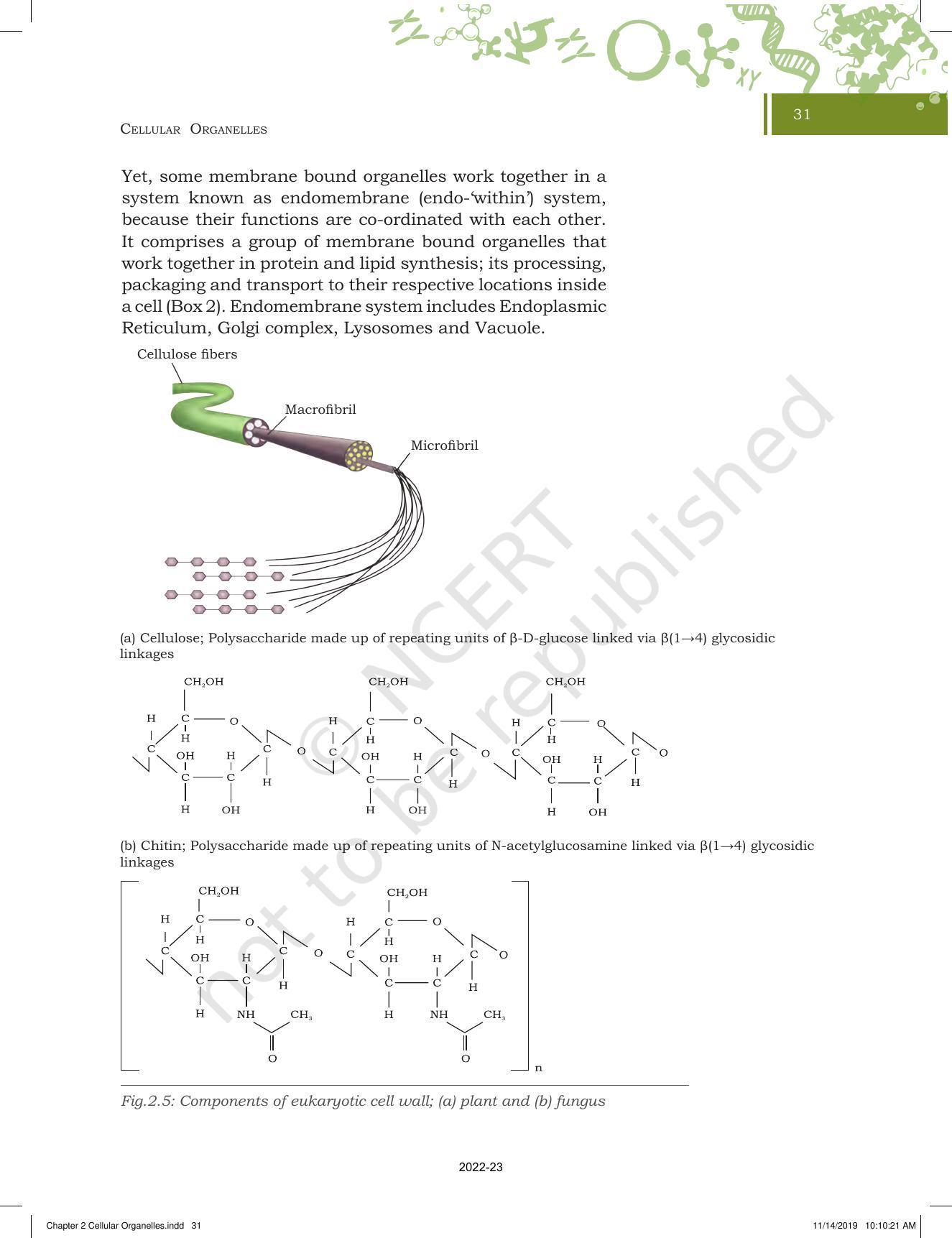 NCERT Book for Class 11 Biotechnology Chapter 2 Cellular Organelles - Page 9