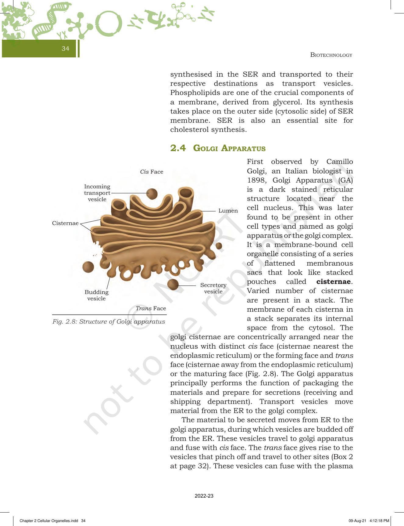 NCERT Book for Class 11 Biotechnology Chapter 2 Cellular Organelles - Page 12
