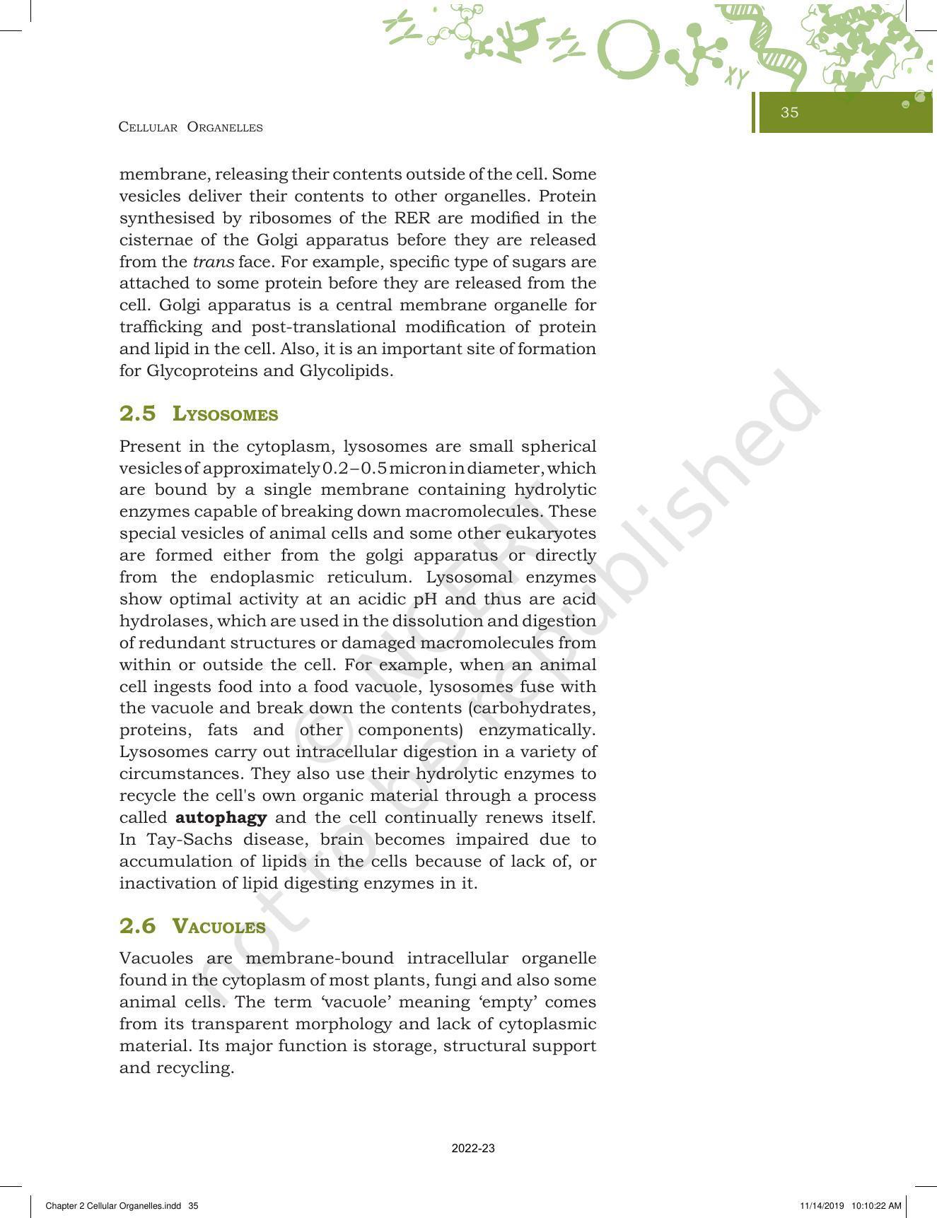 NCERT Book for Class 11 Biotechnology Chapter 2 Cellular Organelles - Page 13