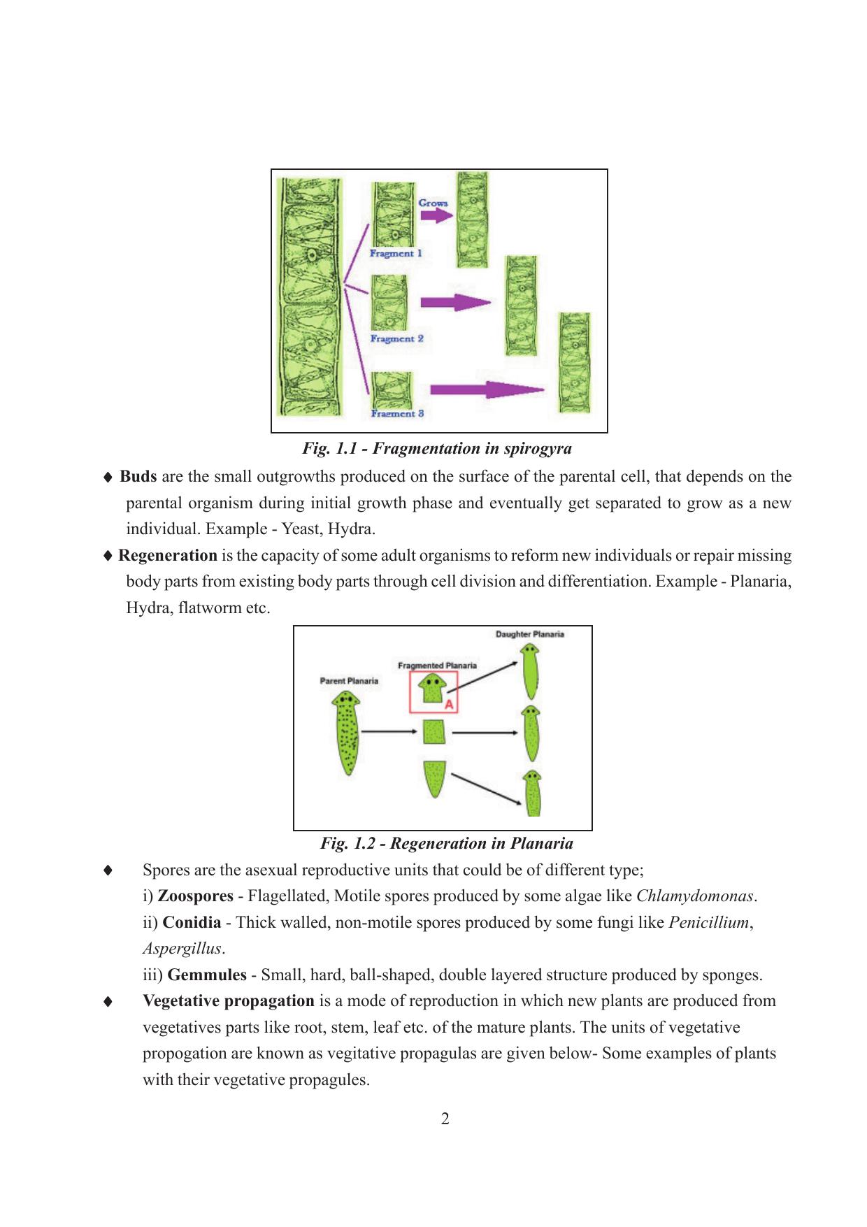 Tripura Board Class 12 Biology English Workbooks - Page 8